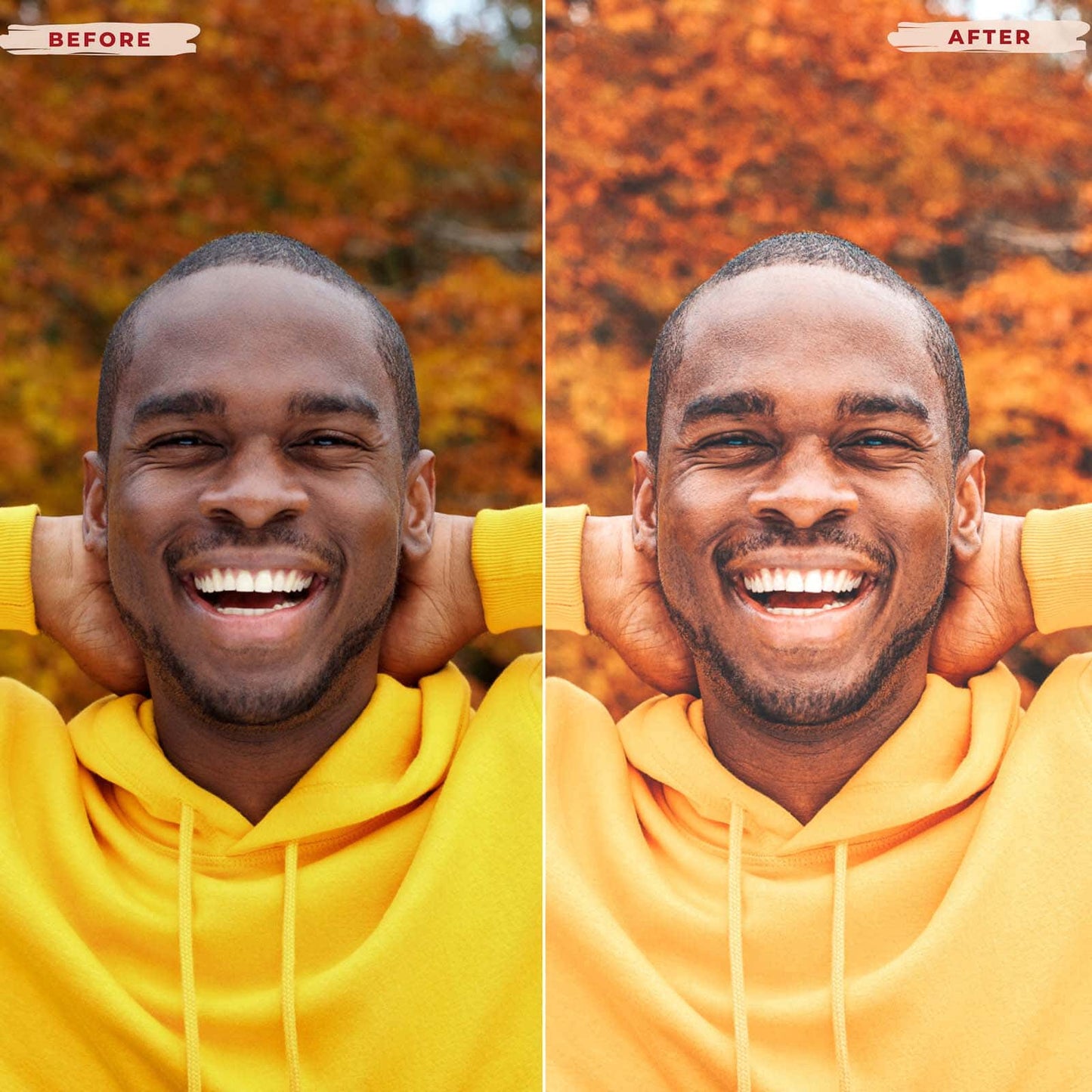 Ai-Optimized GOLDEN FALL LIGHTROOM PRESETS