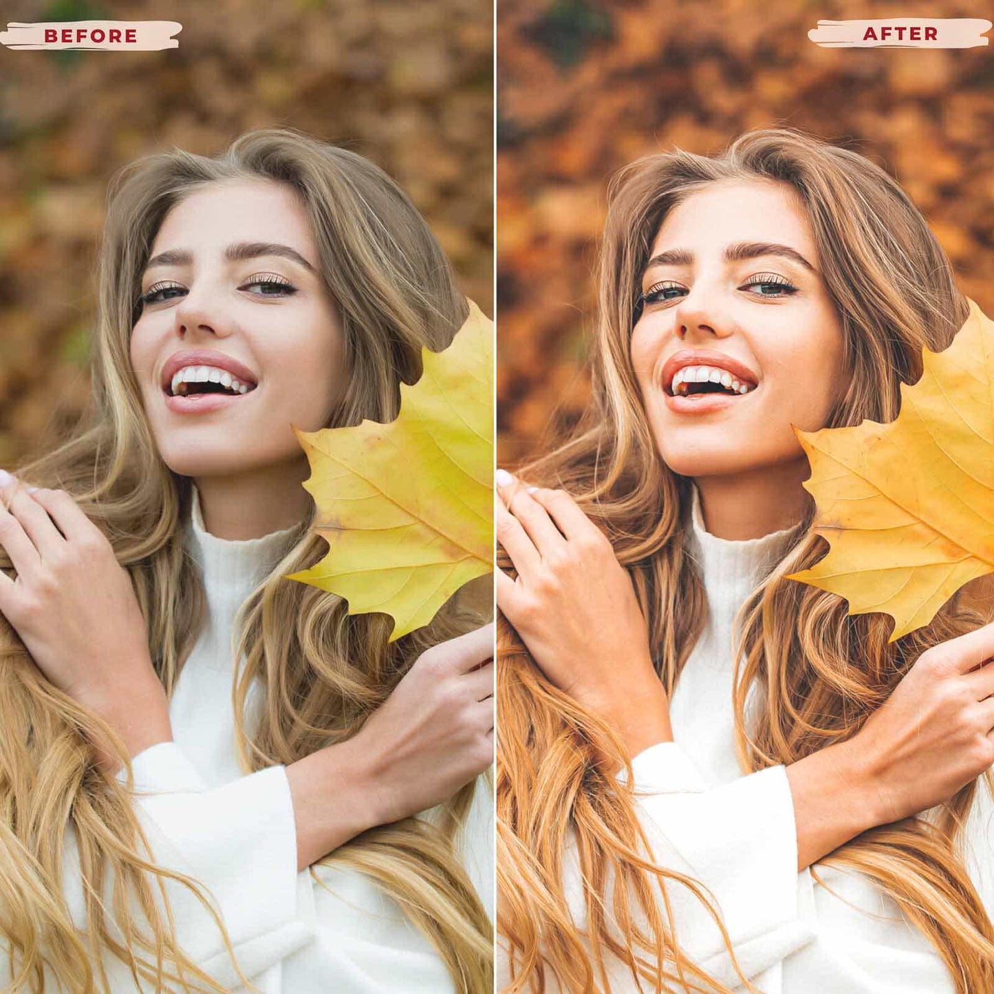 Ai-Optimized GOLDEN FALL LIGHTROOM PRESETS