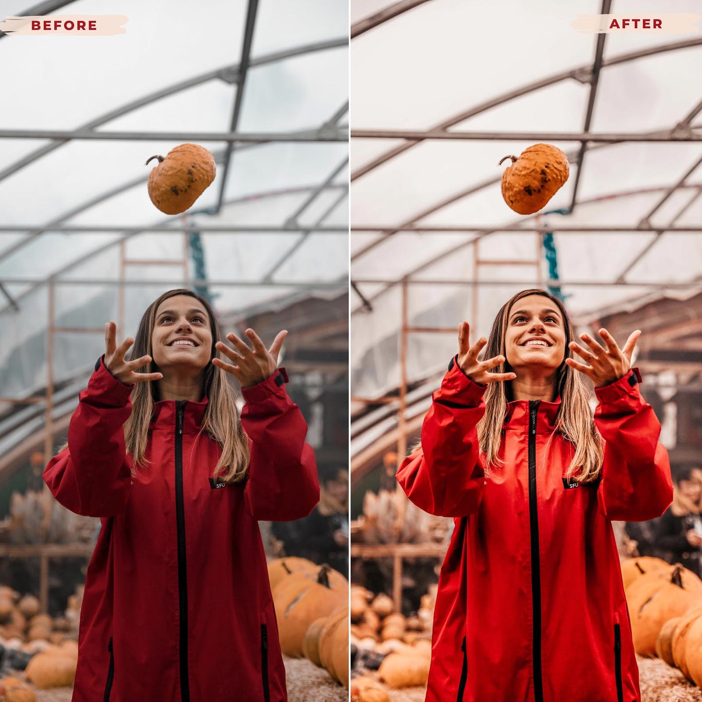 Ai-Optimized HALLOWEEN LIGHTROOM PRESETS