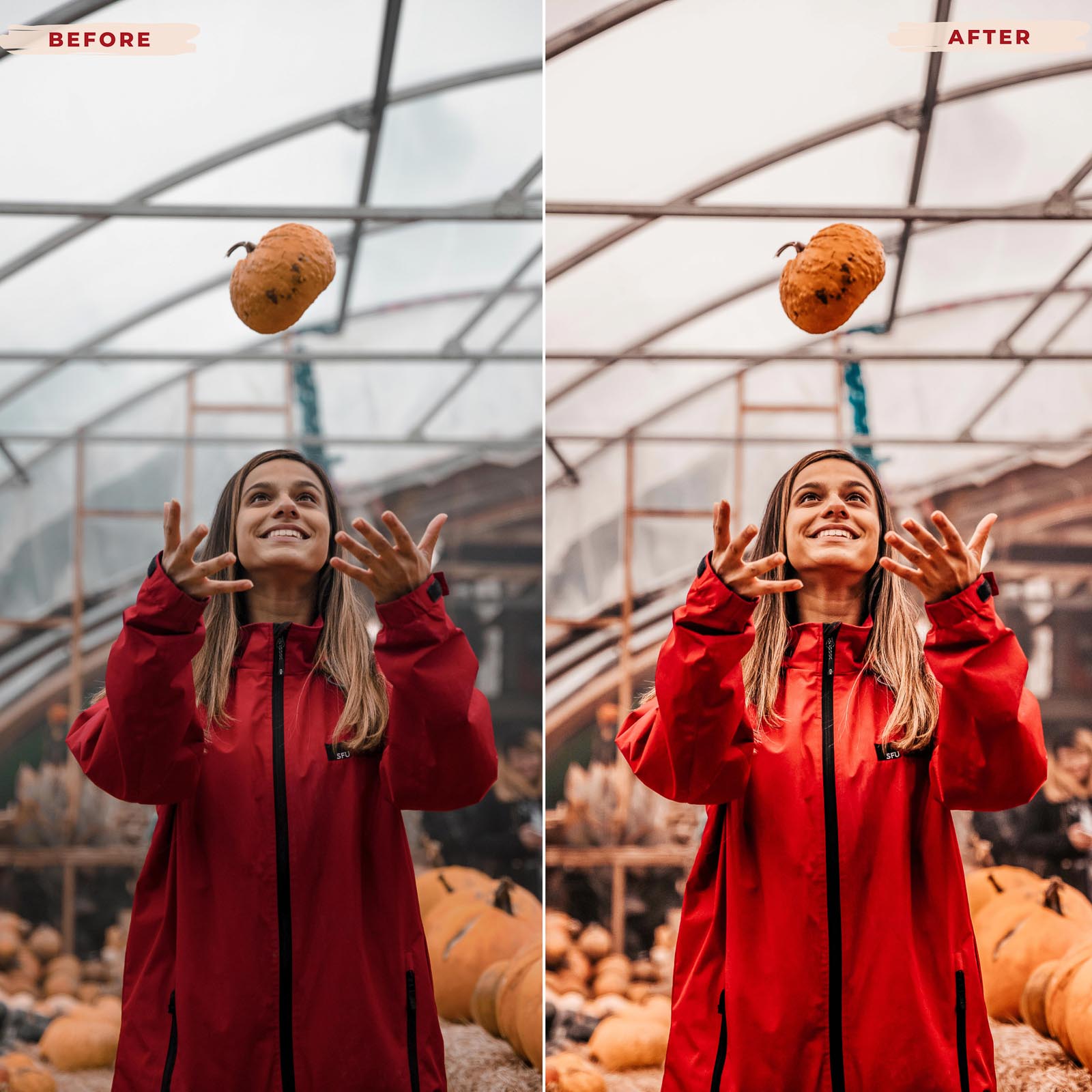 Ai-Optimized HALLOWEEN LIGHTROOM PRESETS