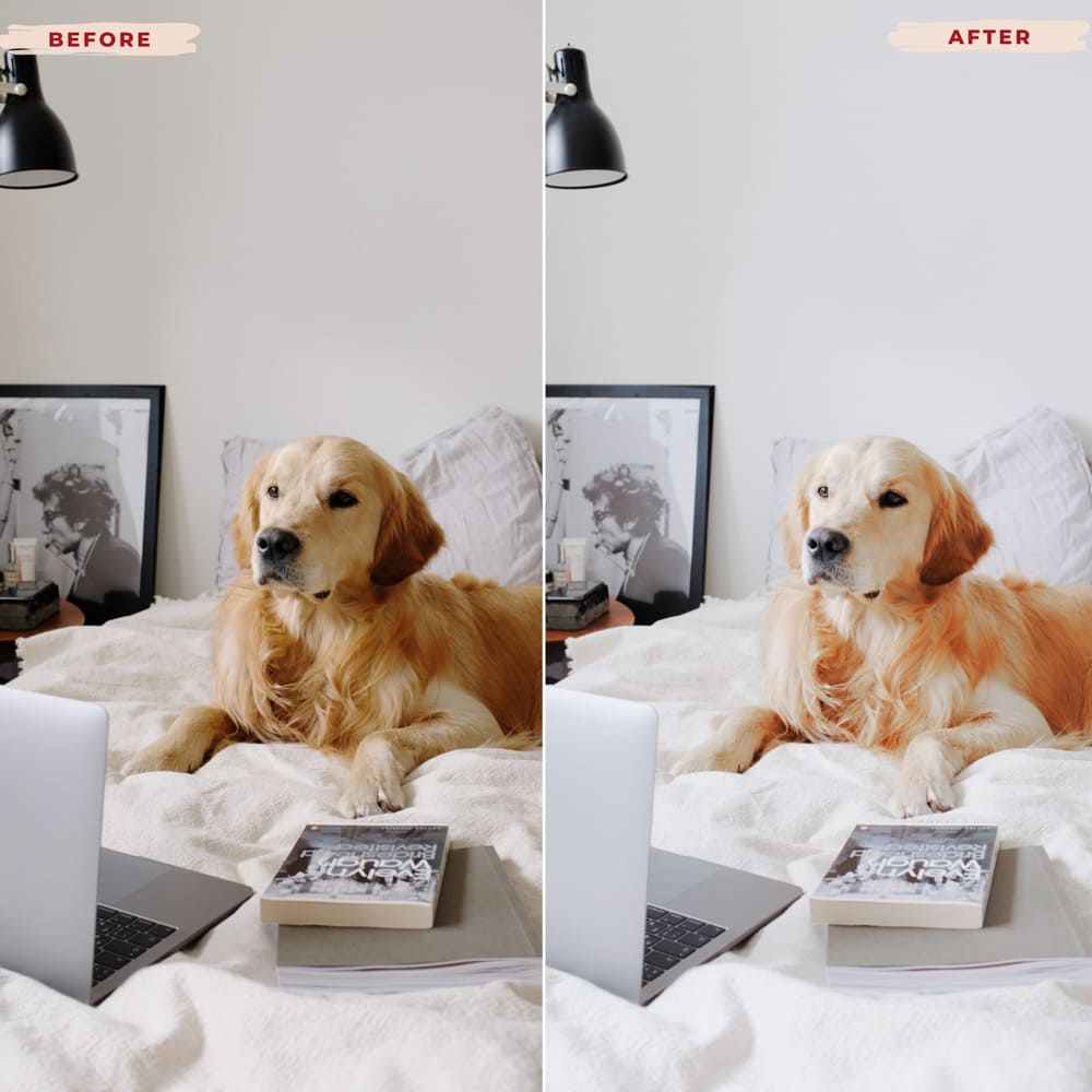 Ai-Optimized HOME LIGHTROOM PRESETS