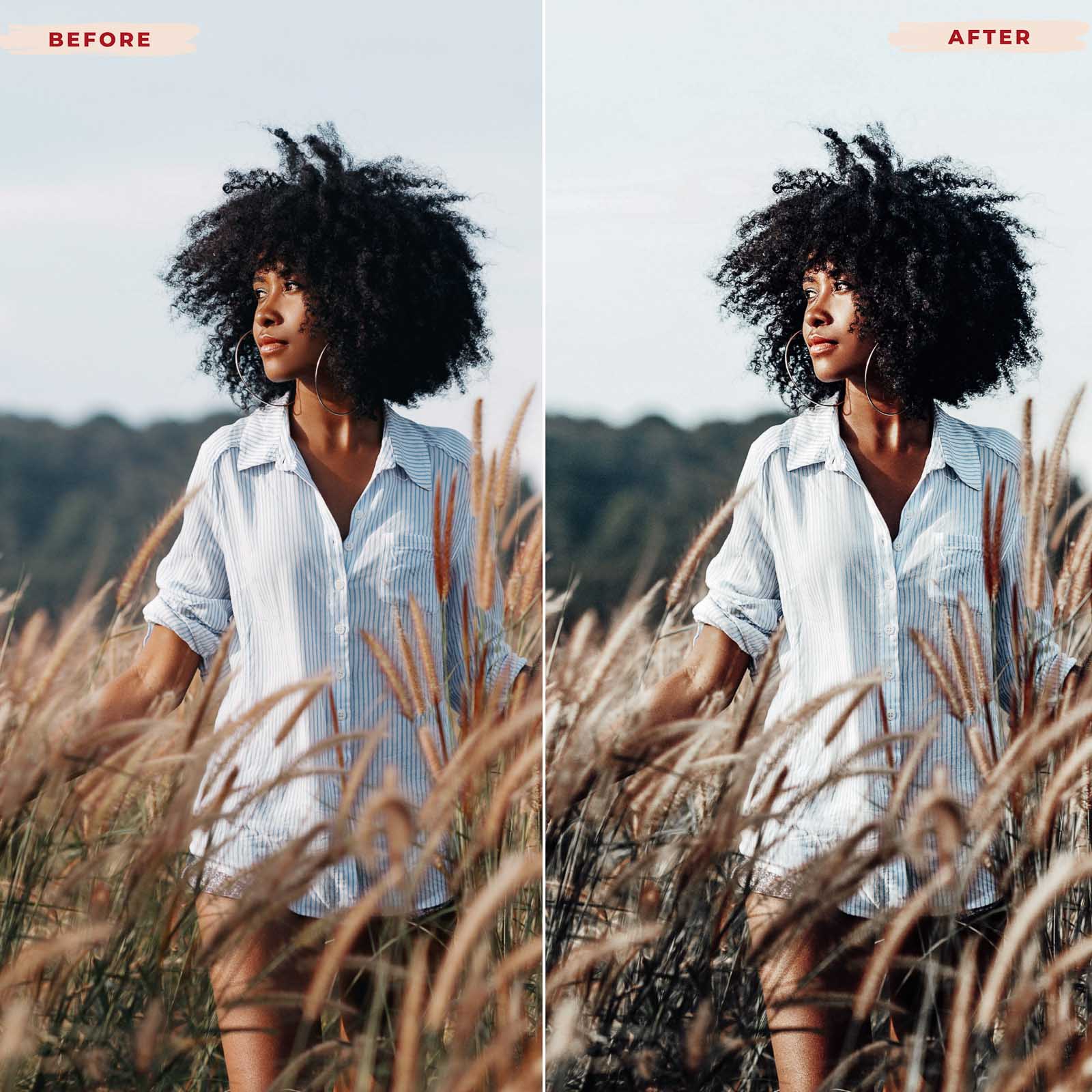 Ai-Optimized INSTA STYLE LIGHTROOM PRESETS