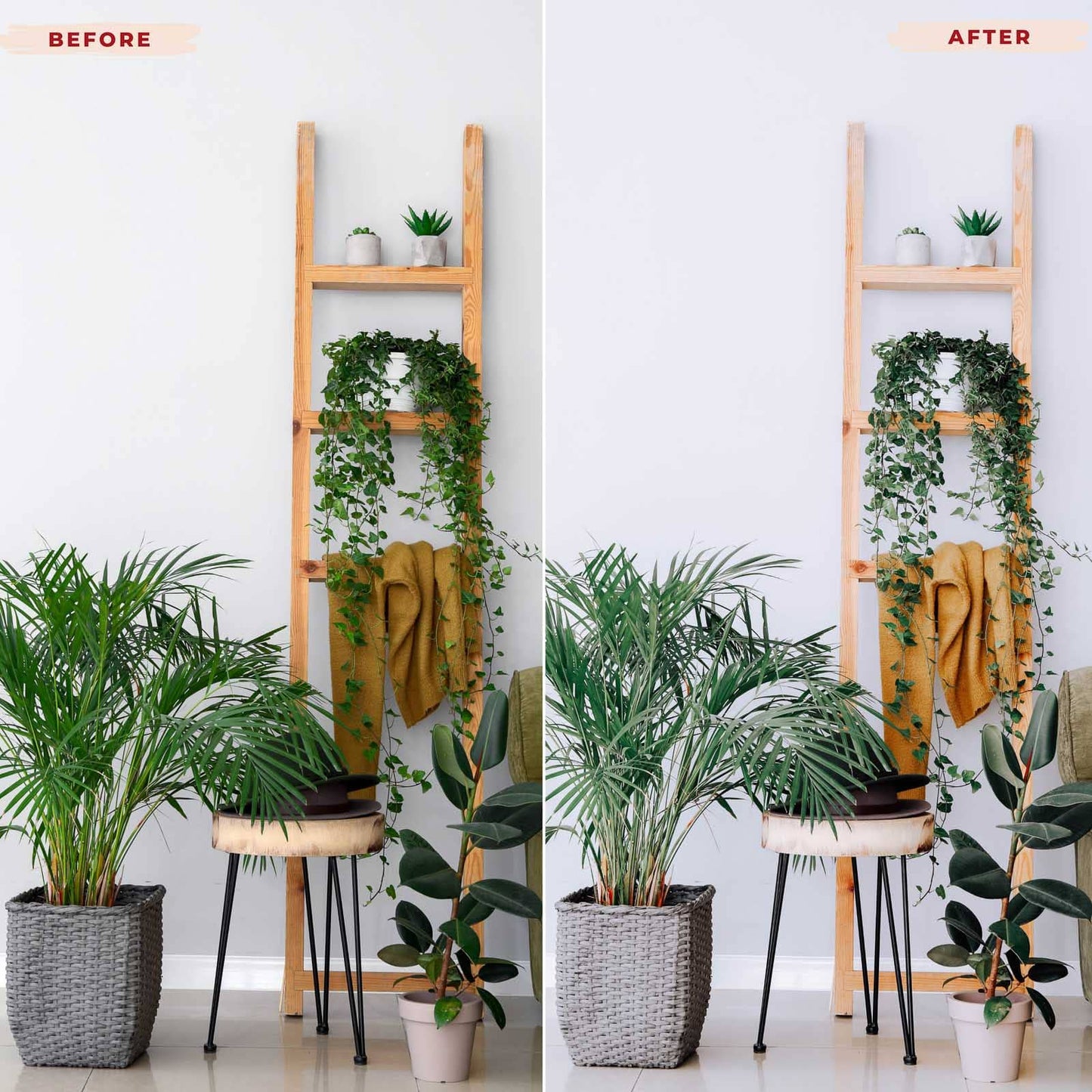 Ai-Optimized INDOOR MAGIC LIGHTROOM PRESETS