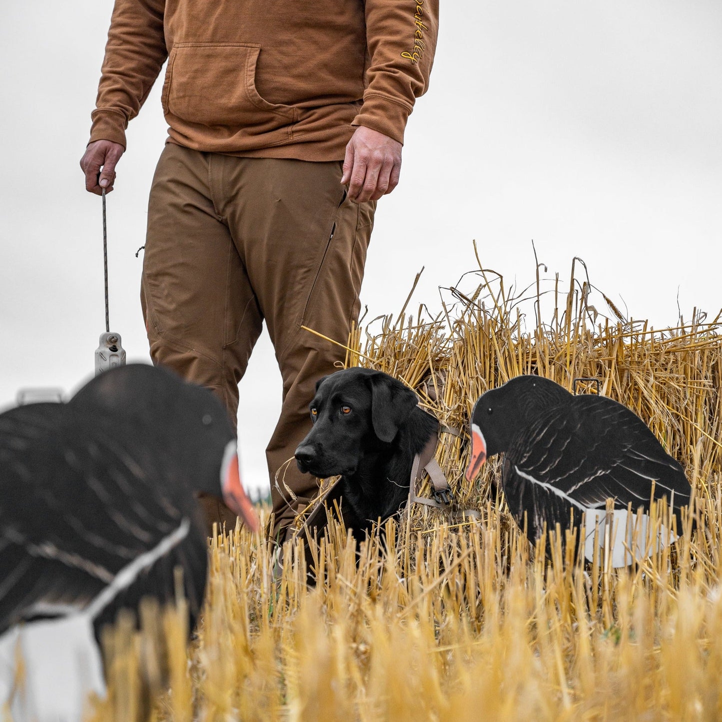 Field Dog Blind