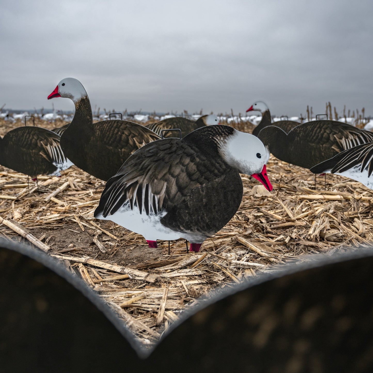 V2FF (Fully Flocked) Blue Goose Silhouettes