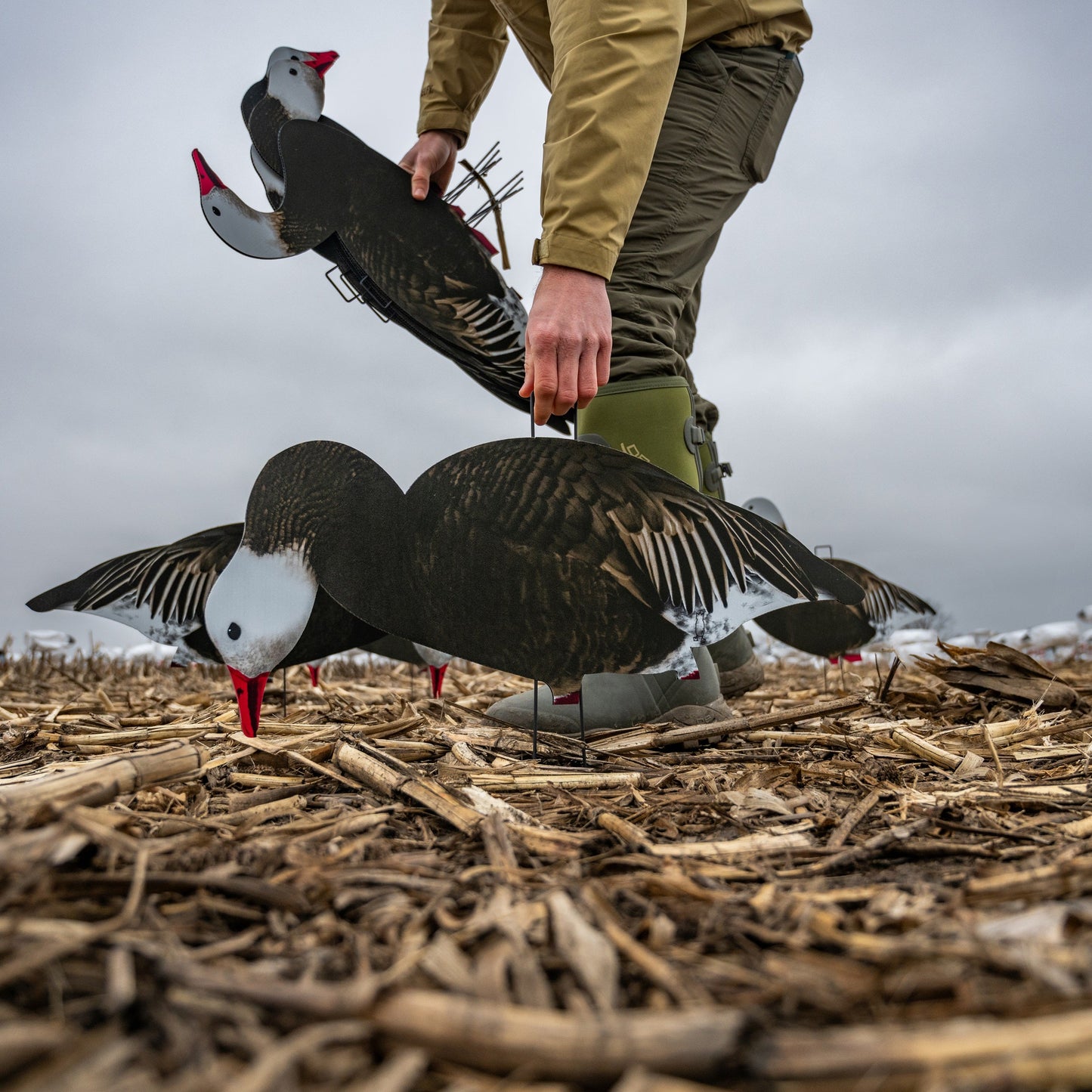 V2FF (Fully Flocked) Blue Goose Silhouettes