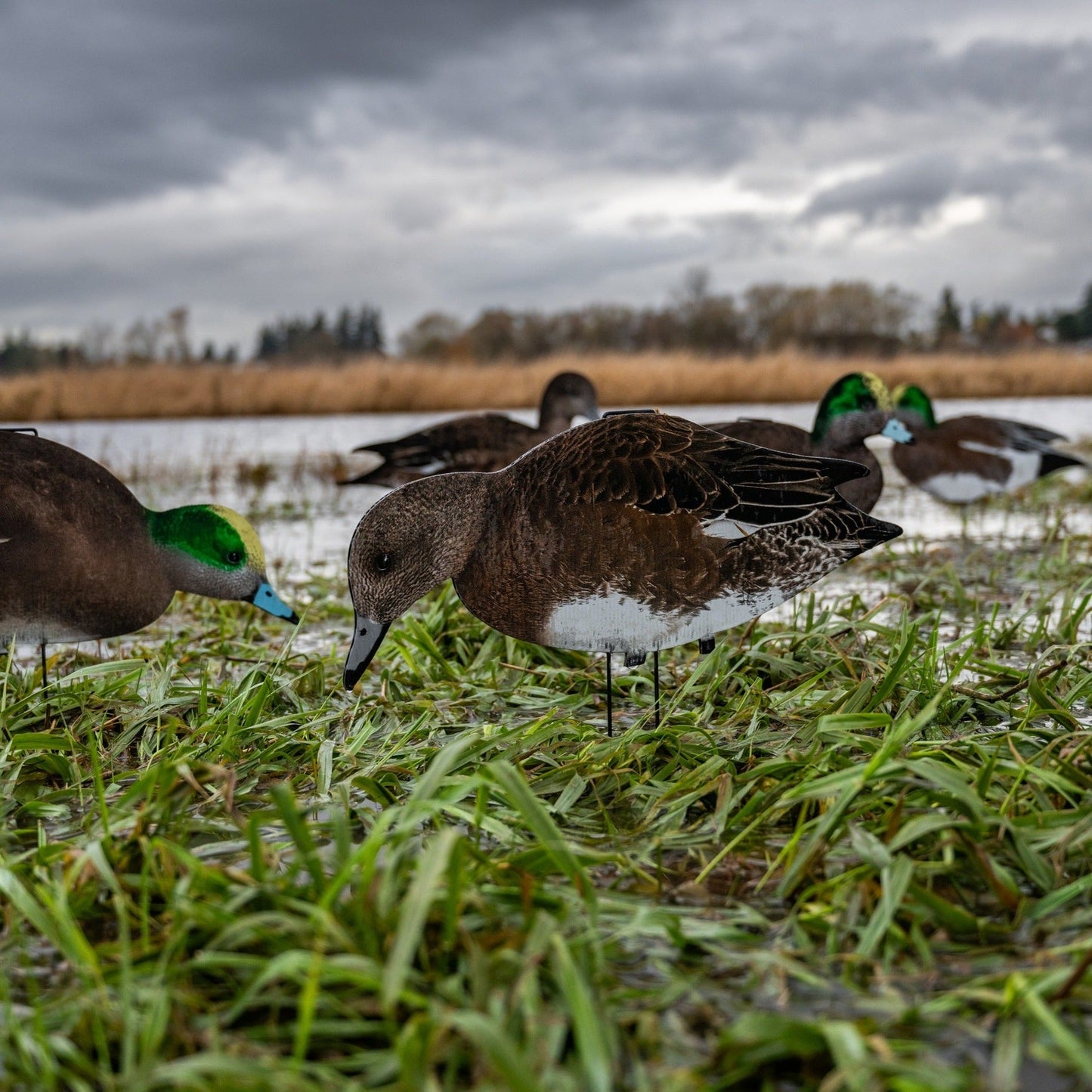 W1 Wigeon Silhouettes