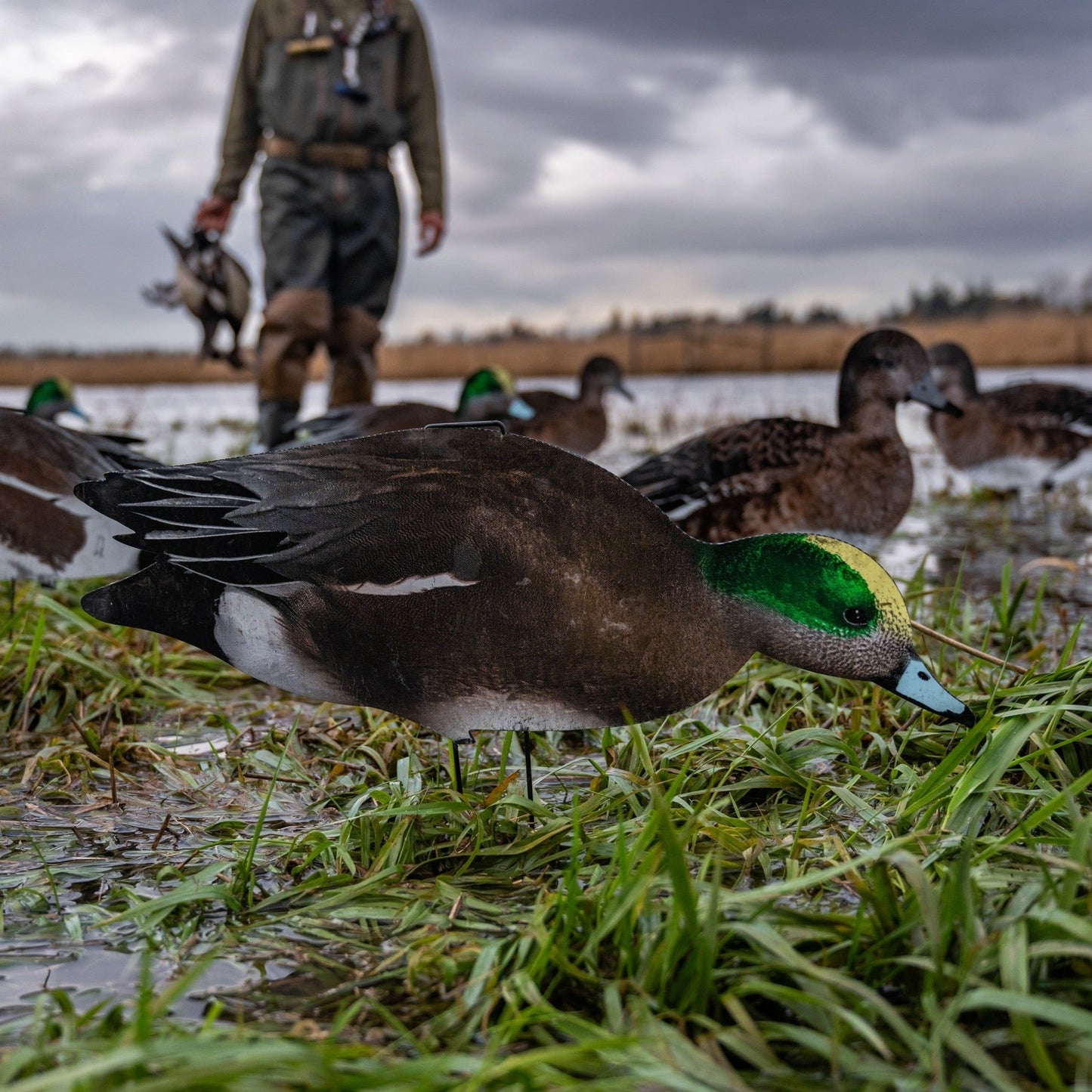 W1 Wigeon Silhouettes