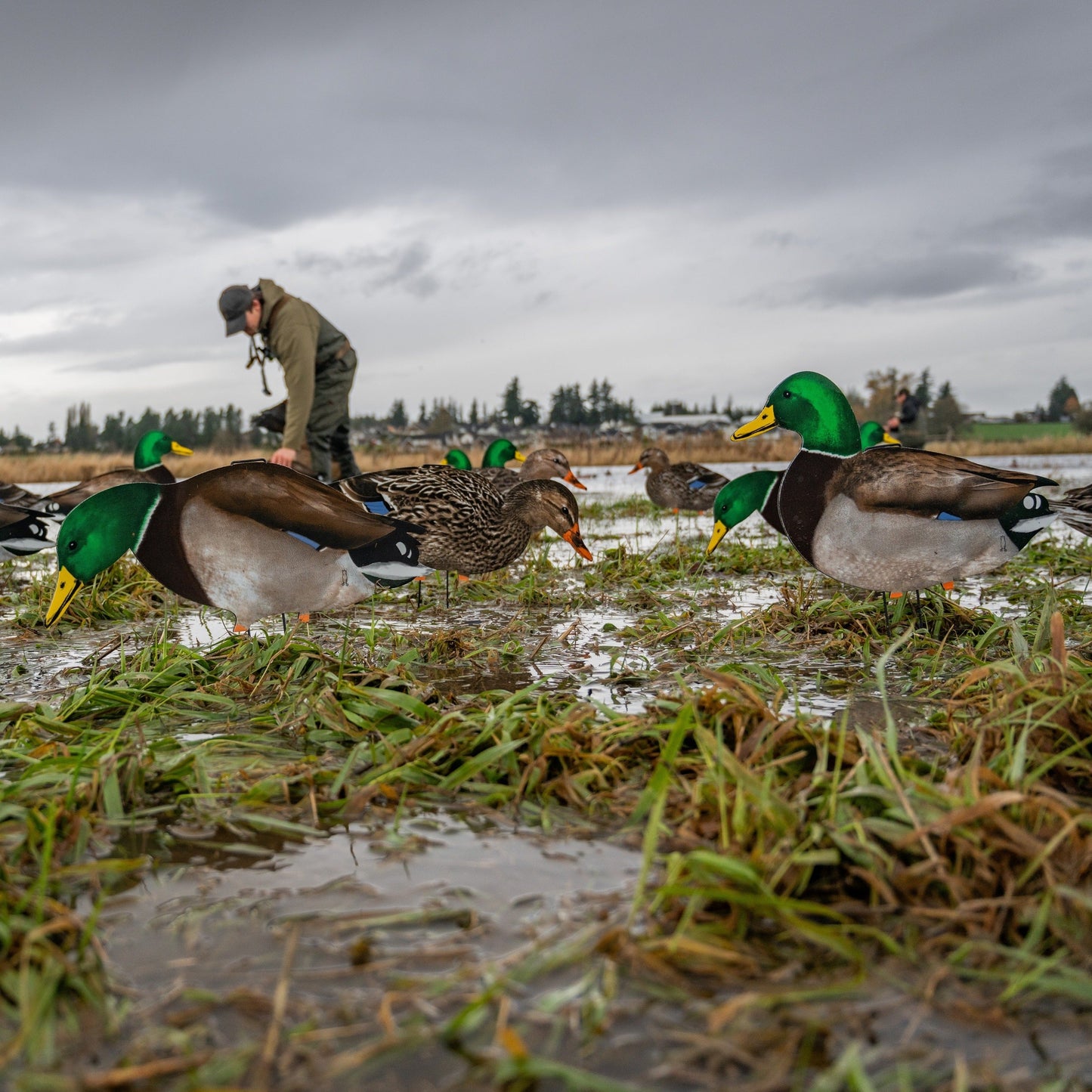 M1FF (Fully Flocked) Mallard Silhouettes