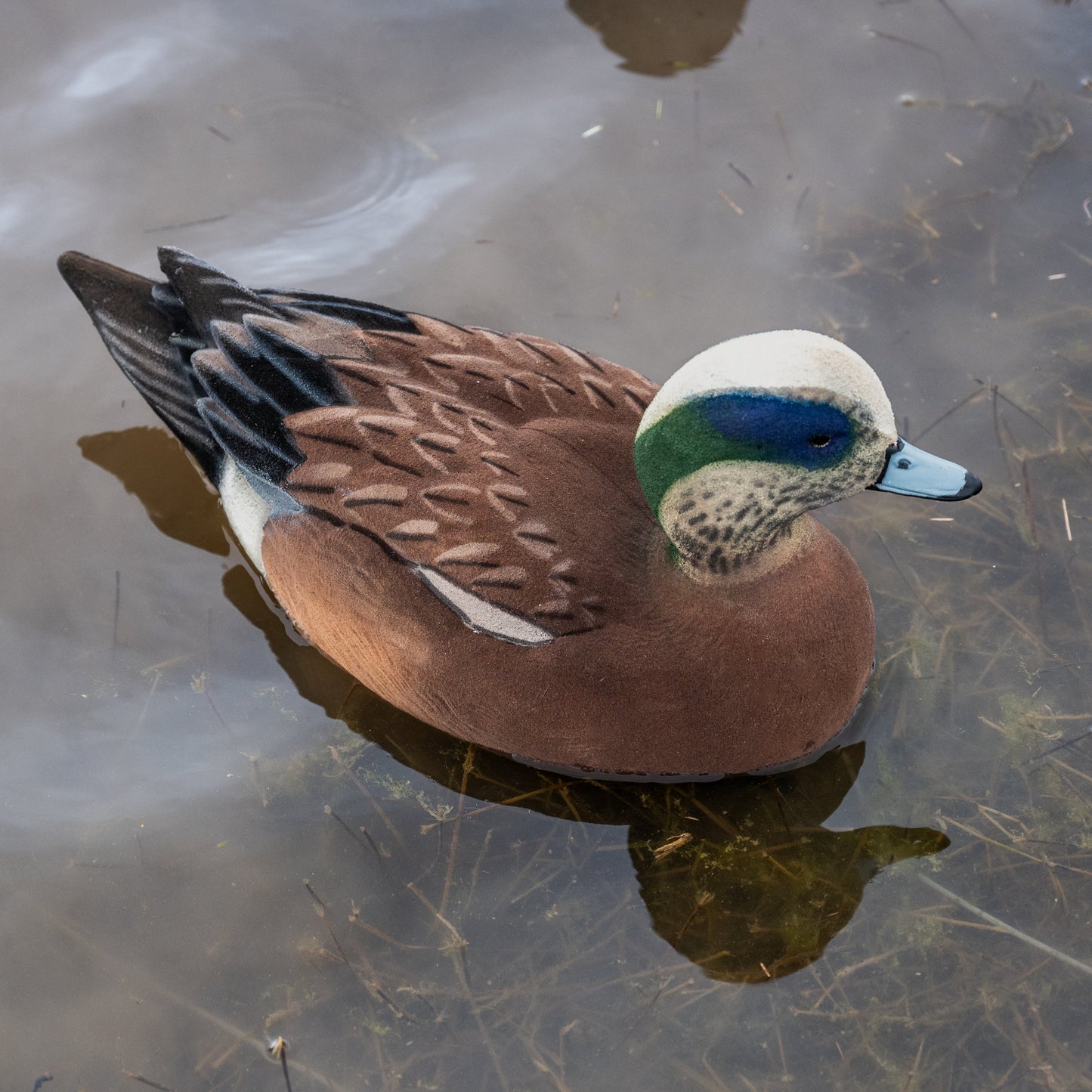 F1FF (Fully Flocked) Wigeon Floaters