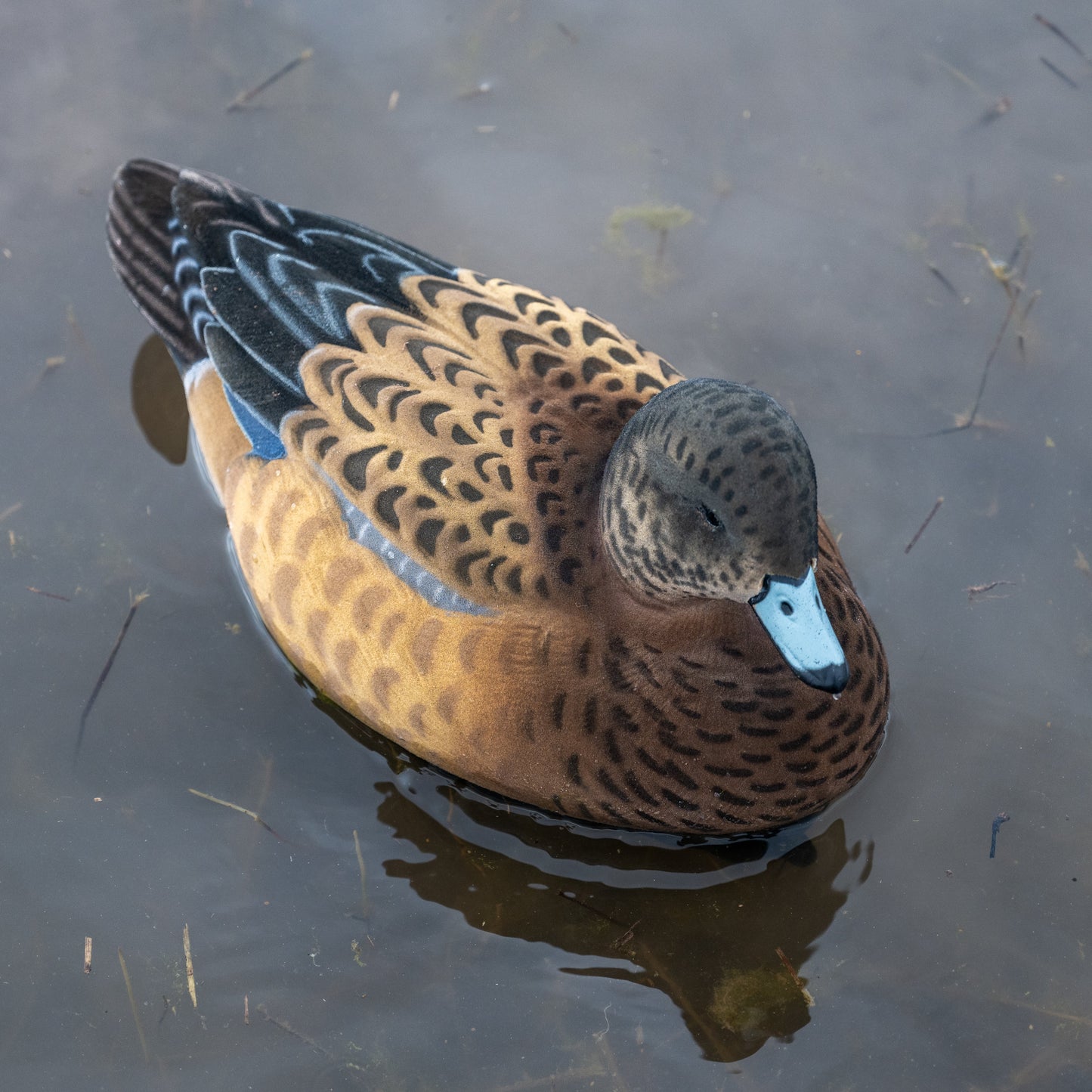 F1FF (Fully Flocked) Wigeon Floaters