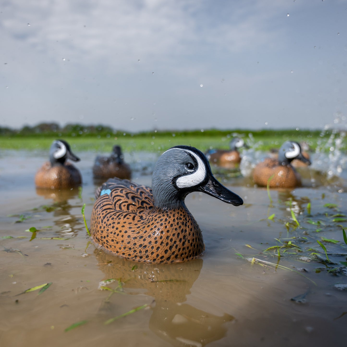 F1 Blue-winged Teal Floaters