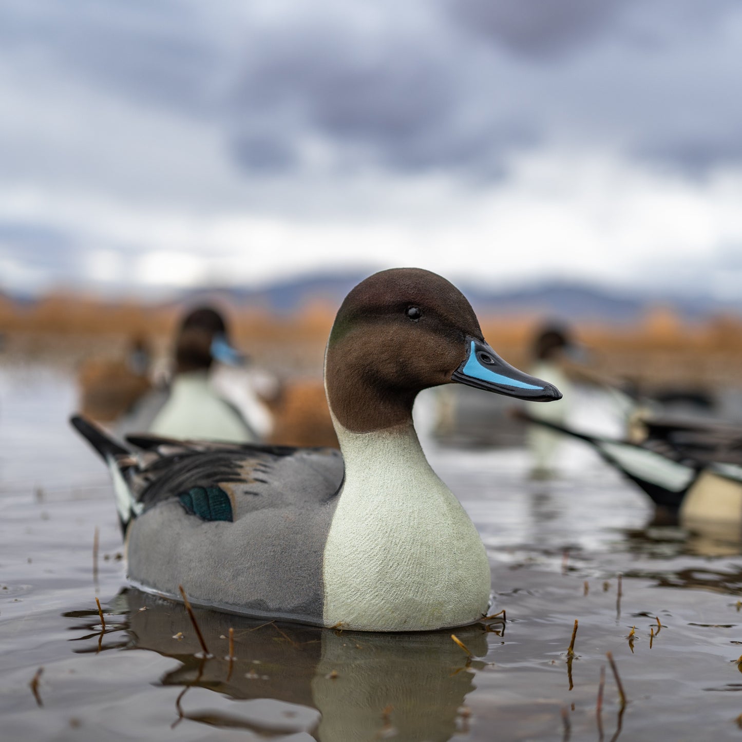 F1FF (Fully Flocked) Pintail Floaters