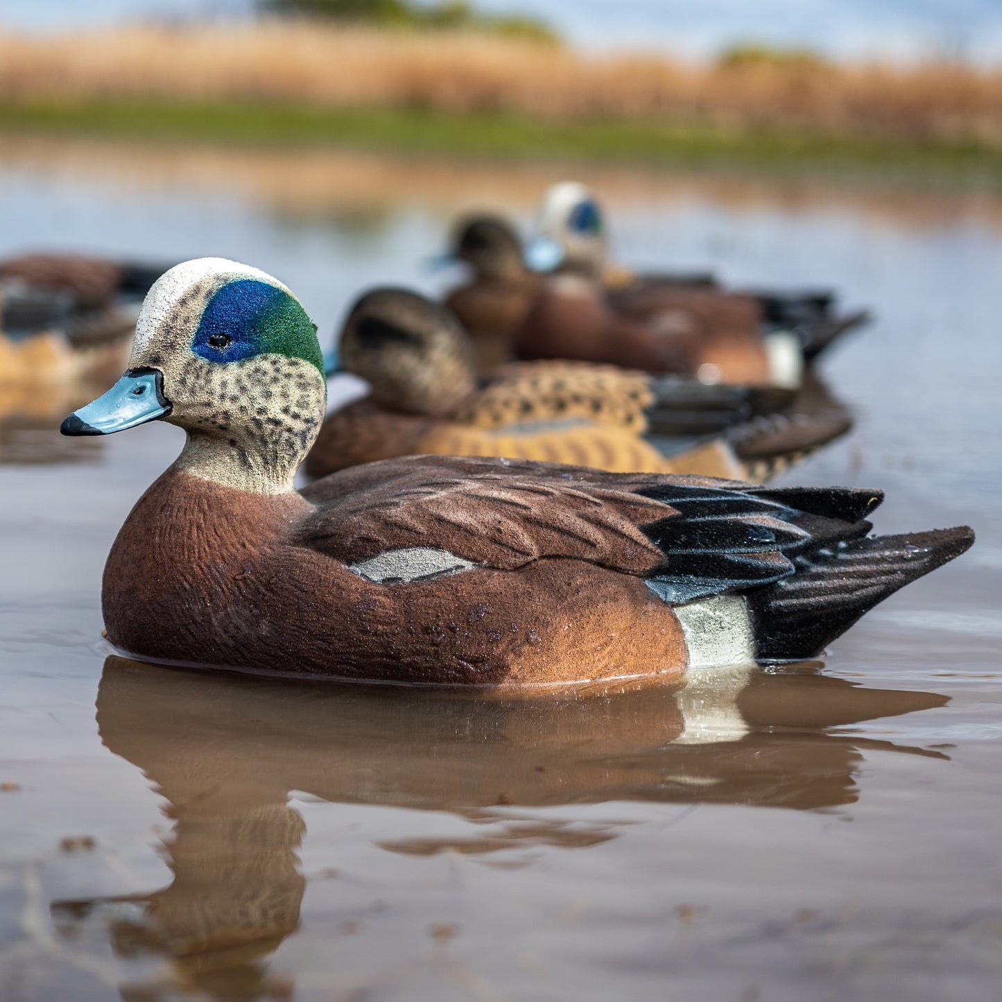 F1FF (Fully Flocked) Wigeon Floaters