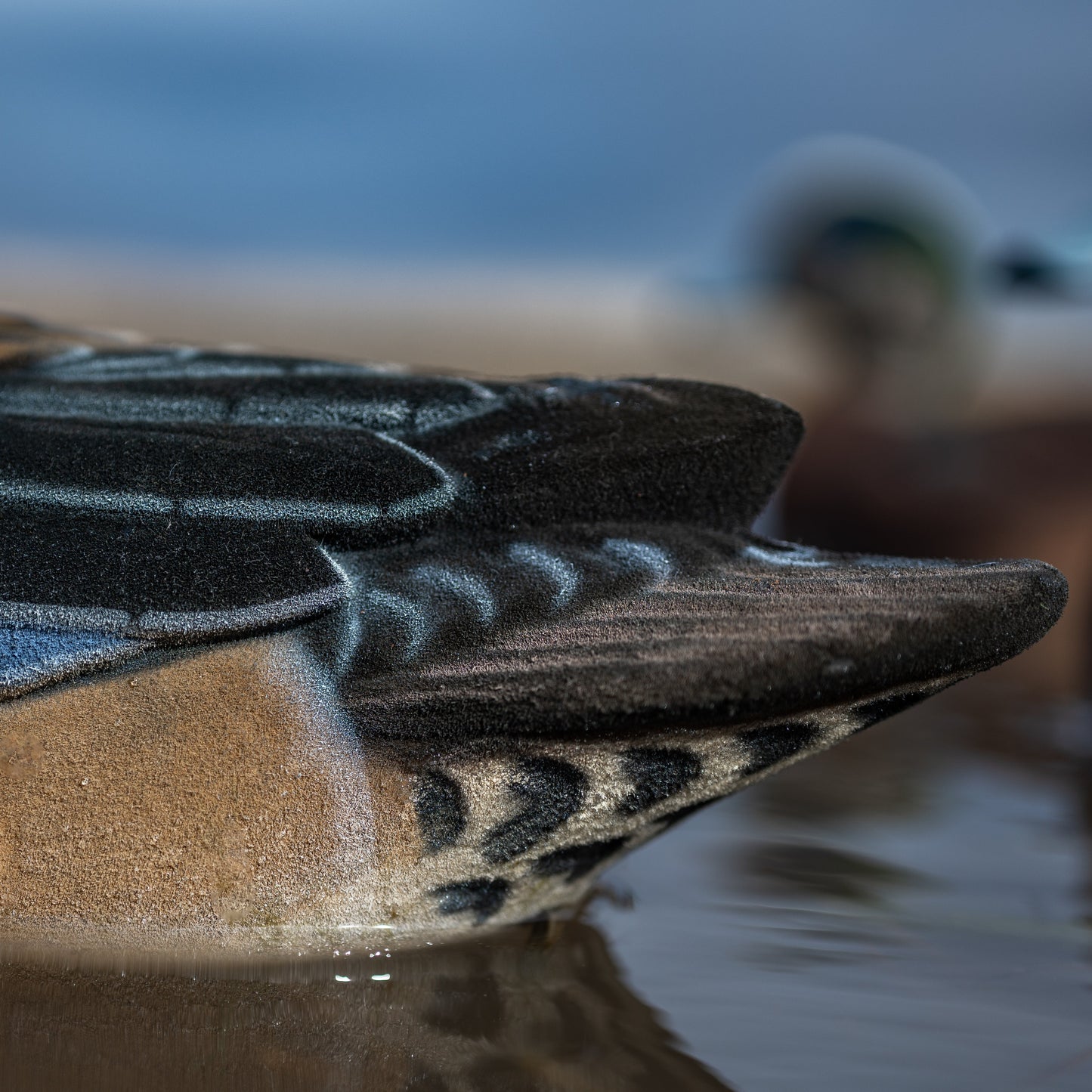 F1FF (Fully Flocked) Wigeon Floaters