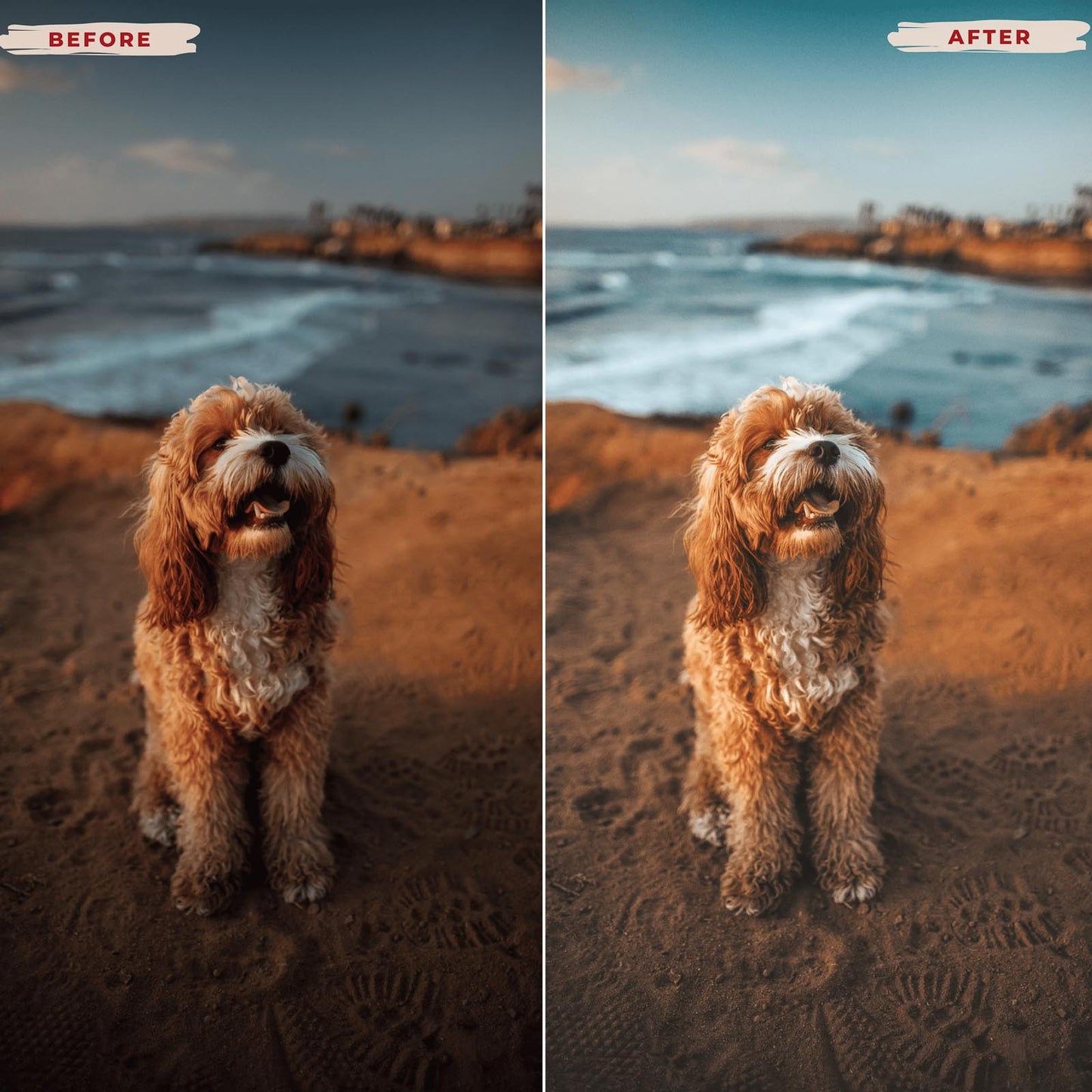 Ai-Optimized LOS ANGELES LIGHTROOM PRESETS