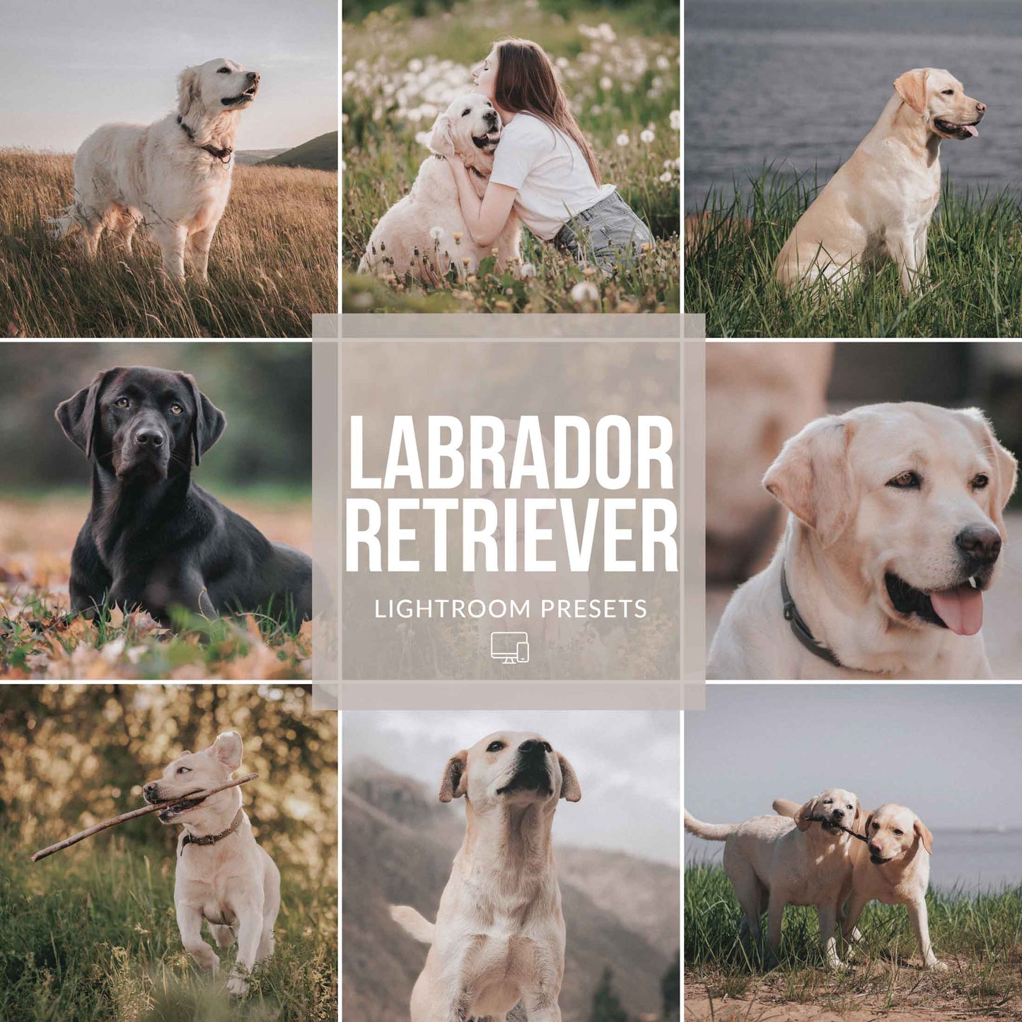 Ai-Optimized LABRADOR RETRIEVER LIGHTROOM PRESETS