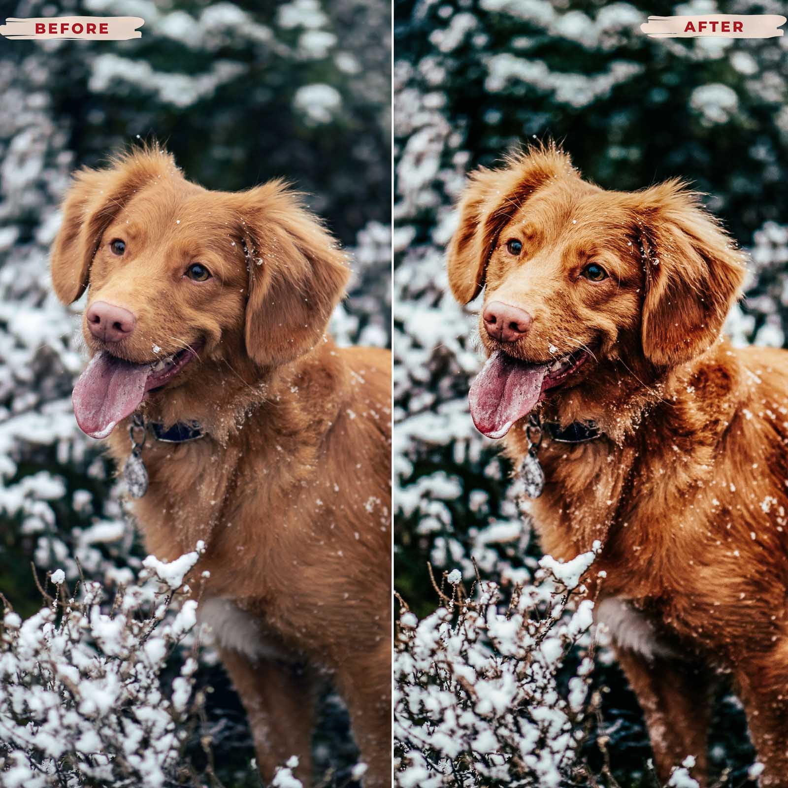 Ai-Optimized LET IT SNOW LIGHTROOM PRESETS