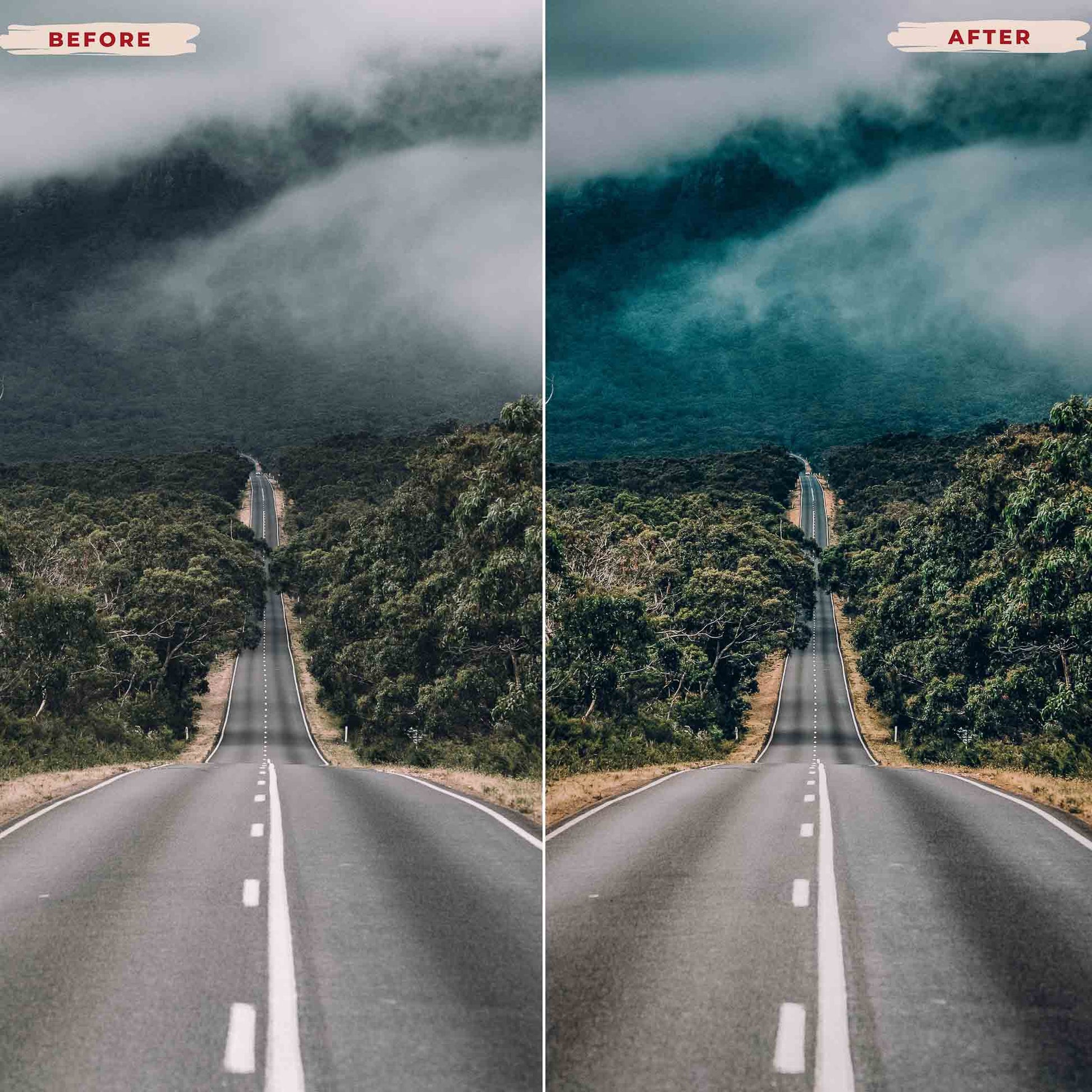 Ai-Optimized MANDARIN LIGHTROOM PRESETS