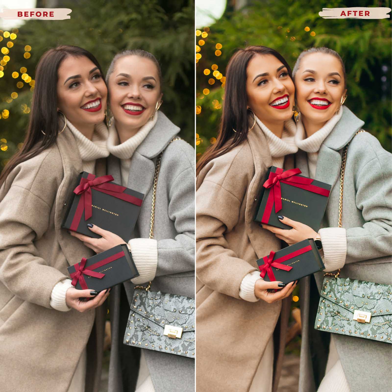 MISTLETOE LIGHTROOM PRESETS from 123presets