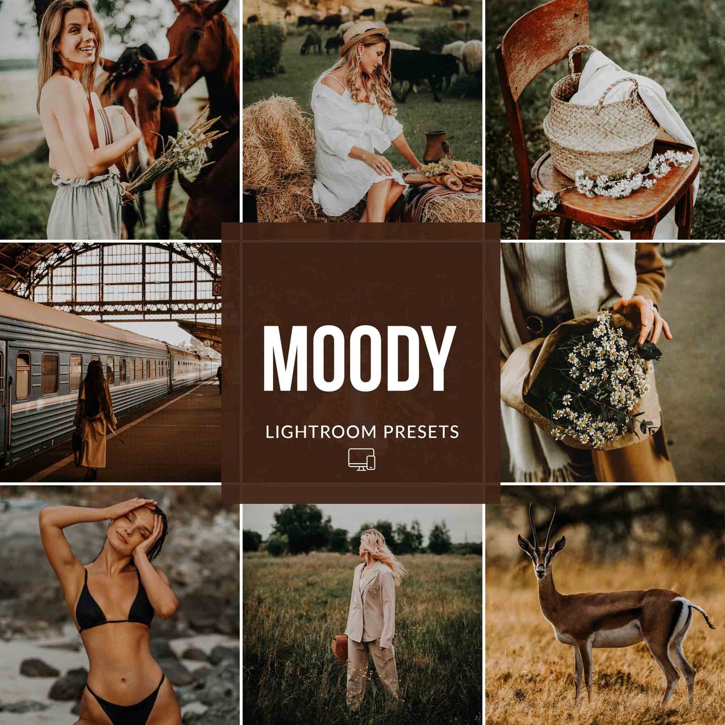 Ai-Optimized MOODY LIGHTROOM PRESETS