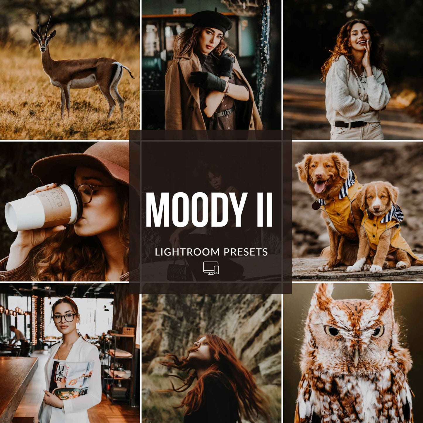 Ai-Optimized MOODY II LIGHTROOM PRESETS