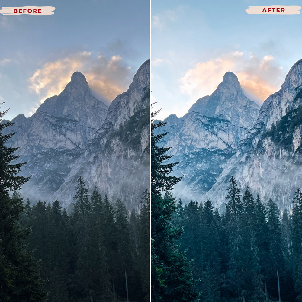 Ai-Optimized NATURE LIGHTROOM PRESETS