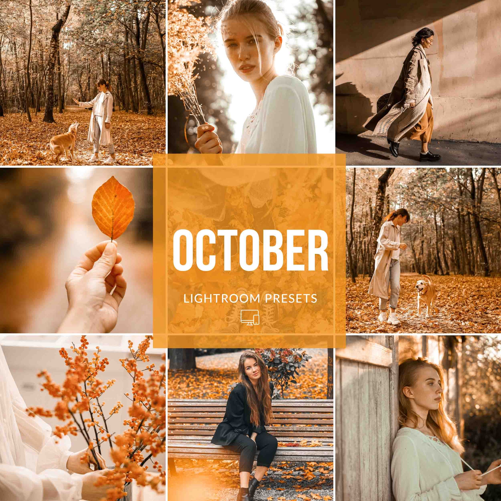 Ai-Optimized OCTOBER LIGHTROOM PRESETS