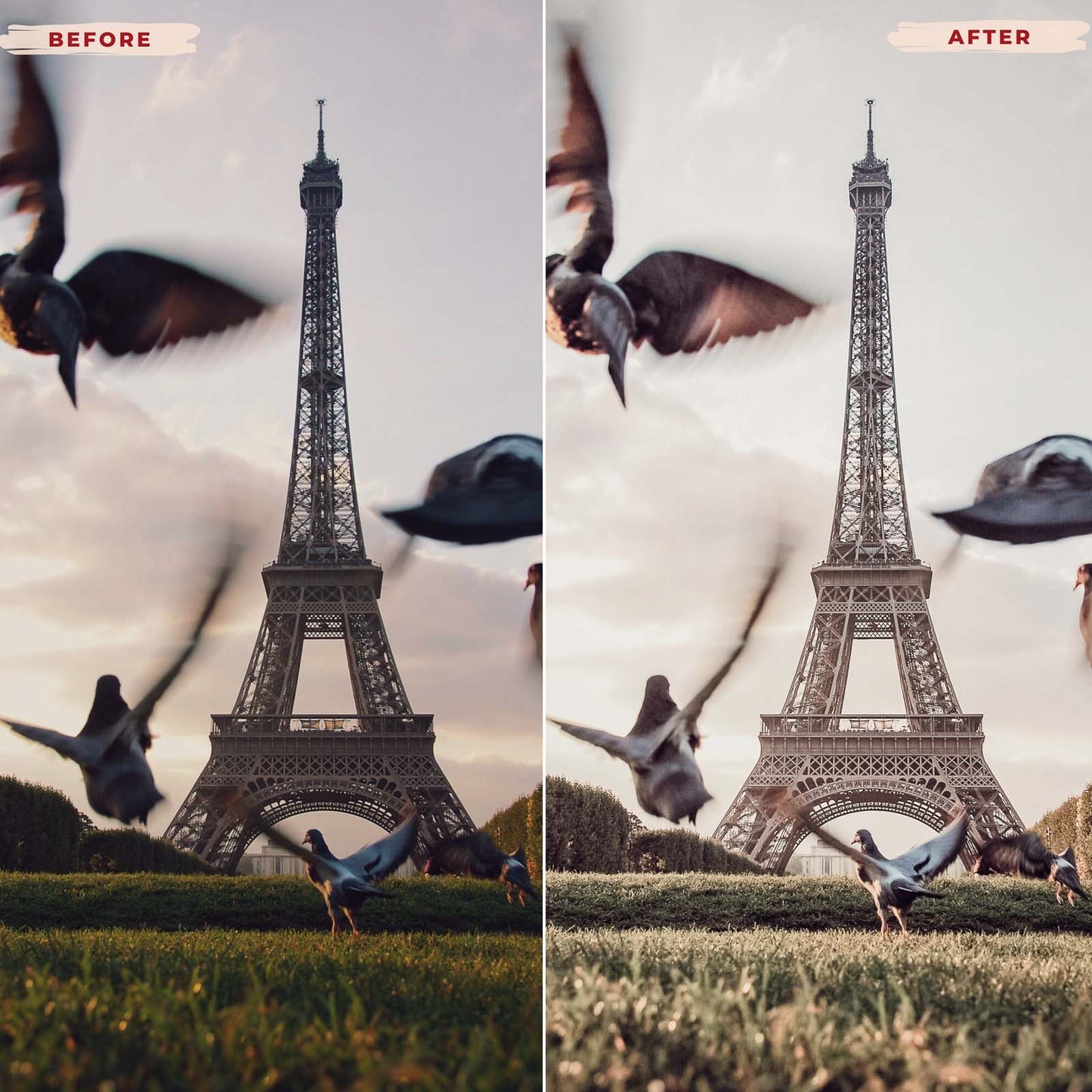 Ai-Optimized PARIS LIFE LIGHTROOM PRESETS