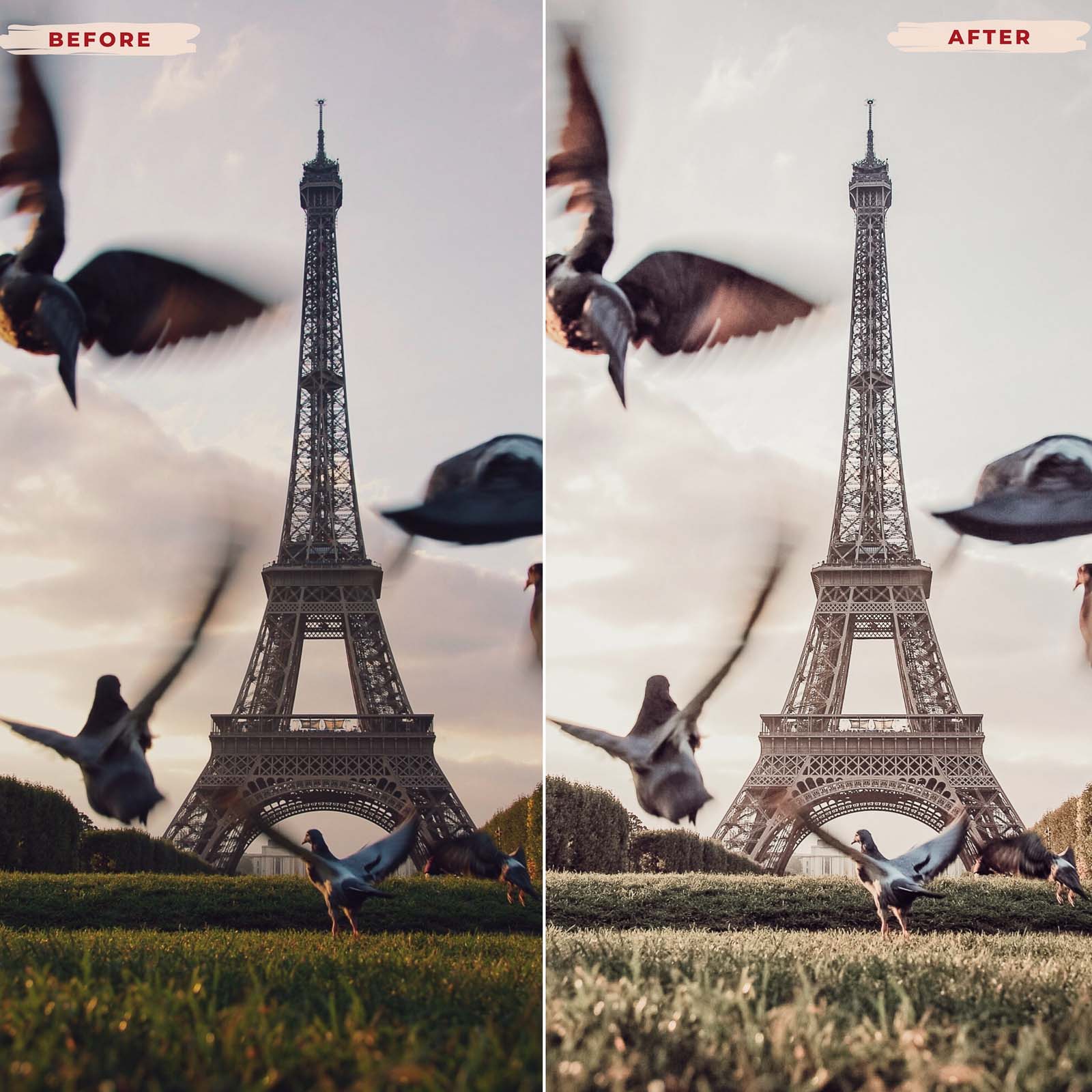 Ai-Optimized PARIS LIFE LIGHTROOM PRESETS