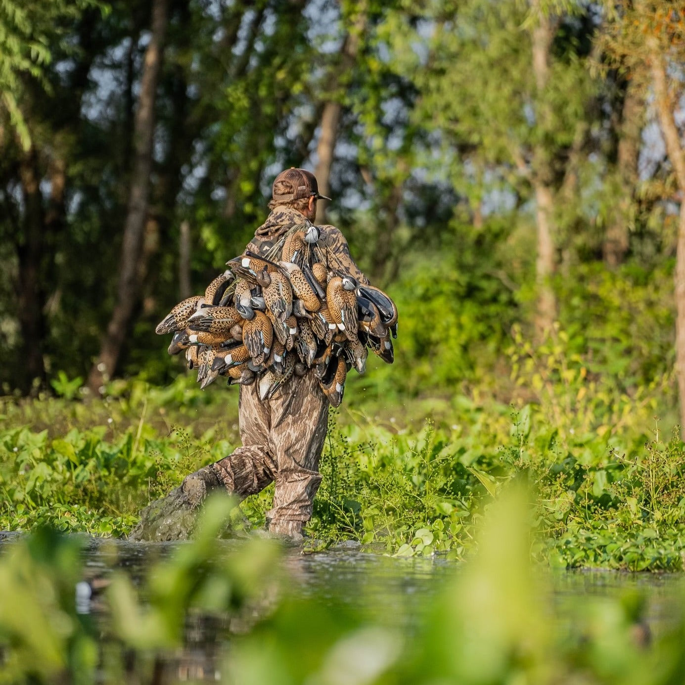 F1 Blue-winged Teal Floaters