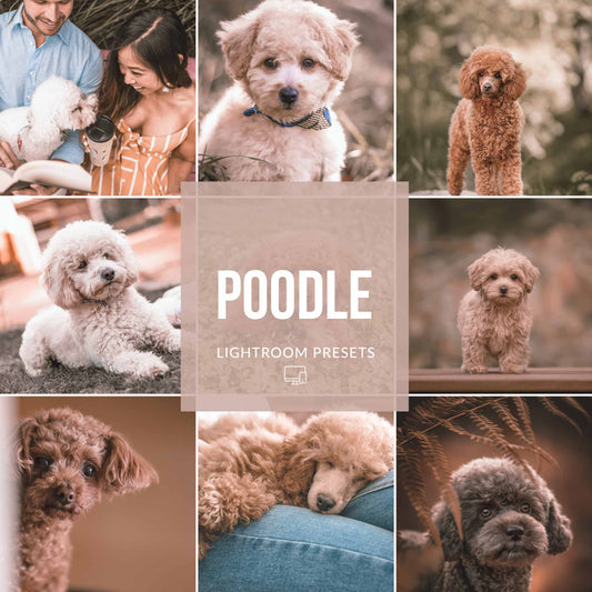 Ai-Optimized POODLE LIGHTROOM PRESETS