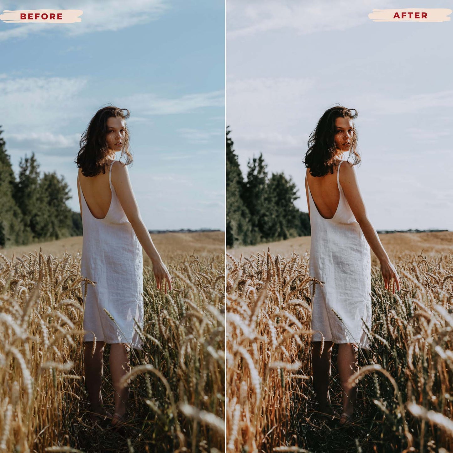 Ai-Optimized CLEAN MOODY LIGHTROOM PRESETS