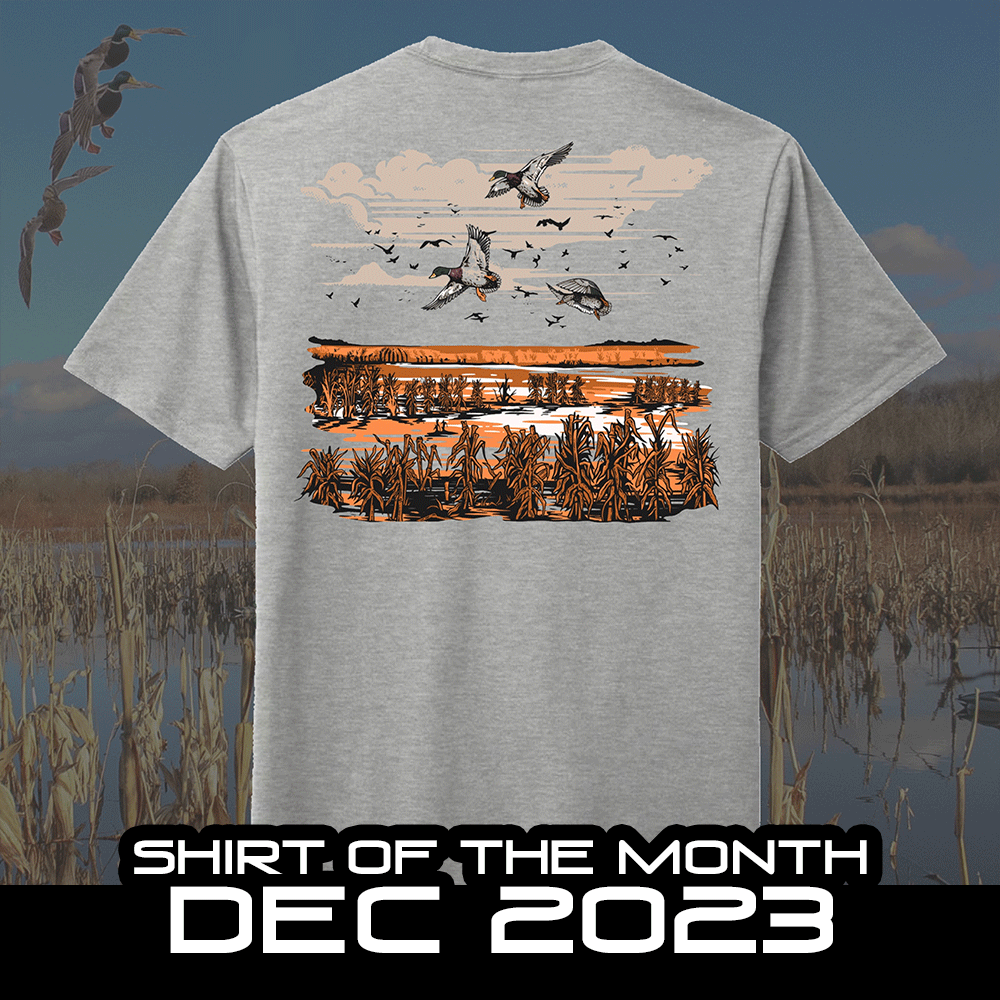 Shirt of the Month - Last Chances