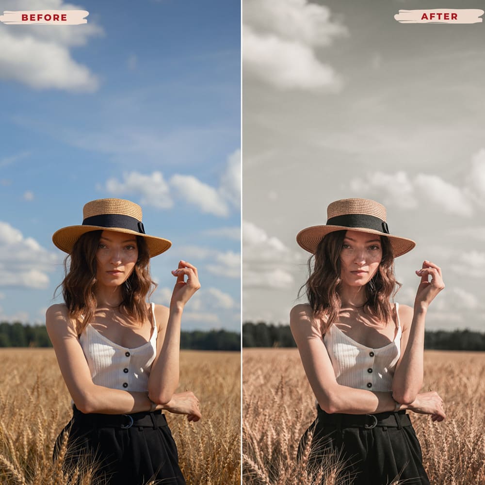 Ai-Optimized SANDY LIGHTROOM PRESETS