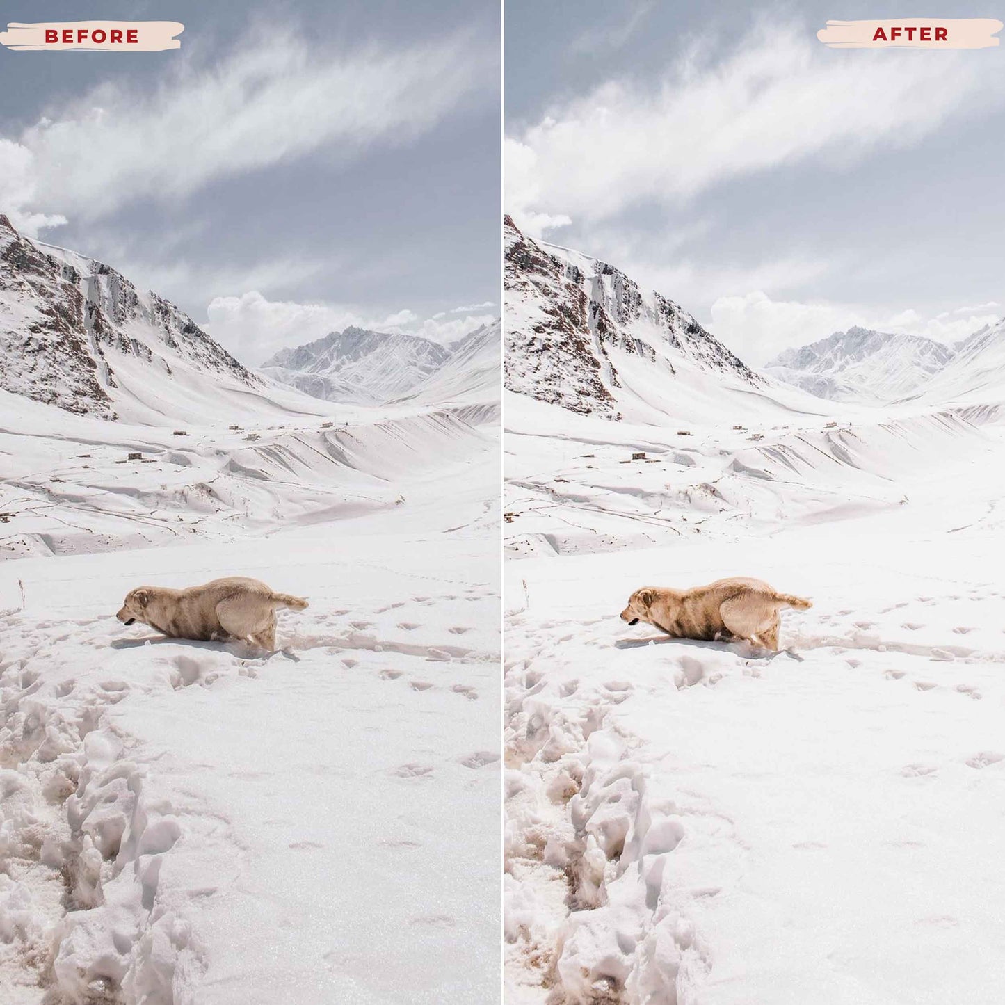 Ai-Optimized SNOW LIGHTROOM PRESETS