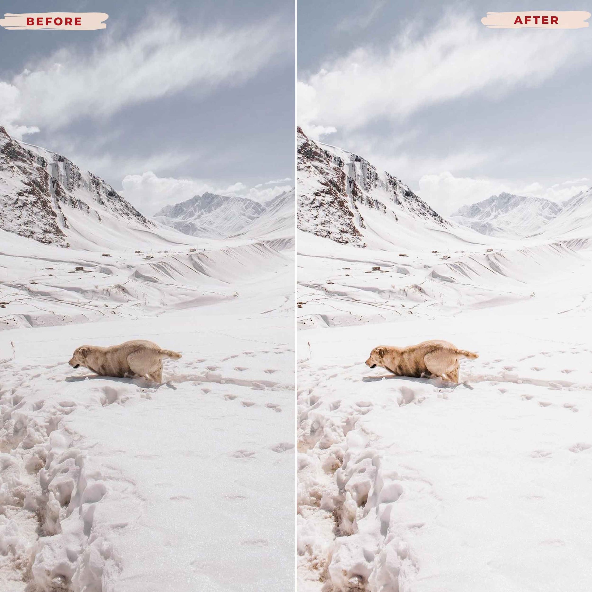 Ai-Optimized SNOW LIGHTROOM PRESETS