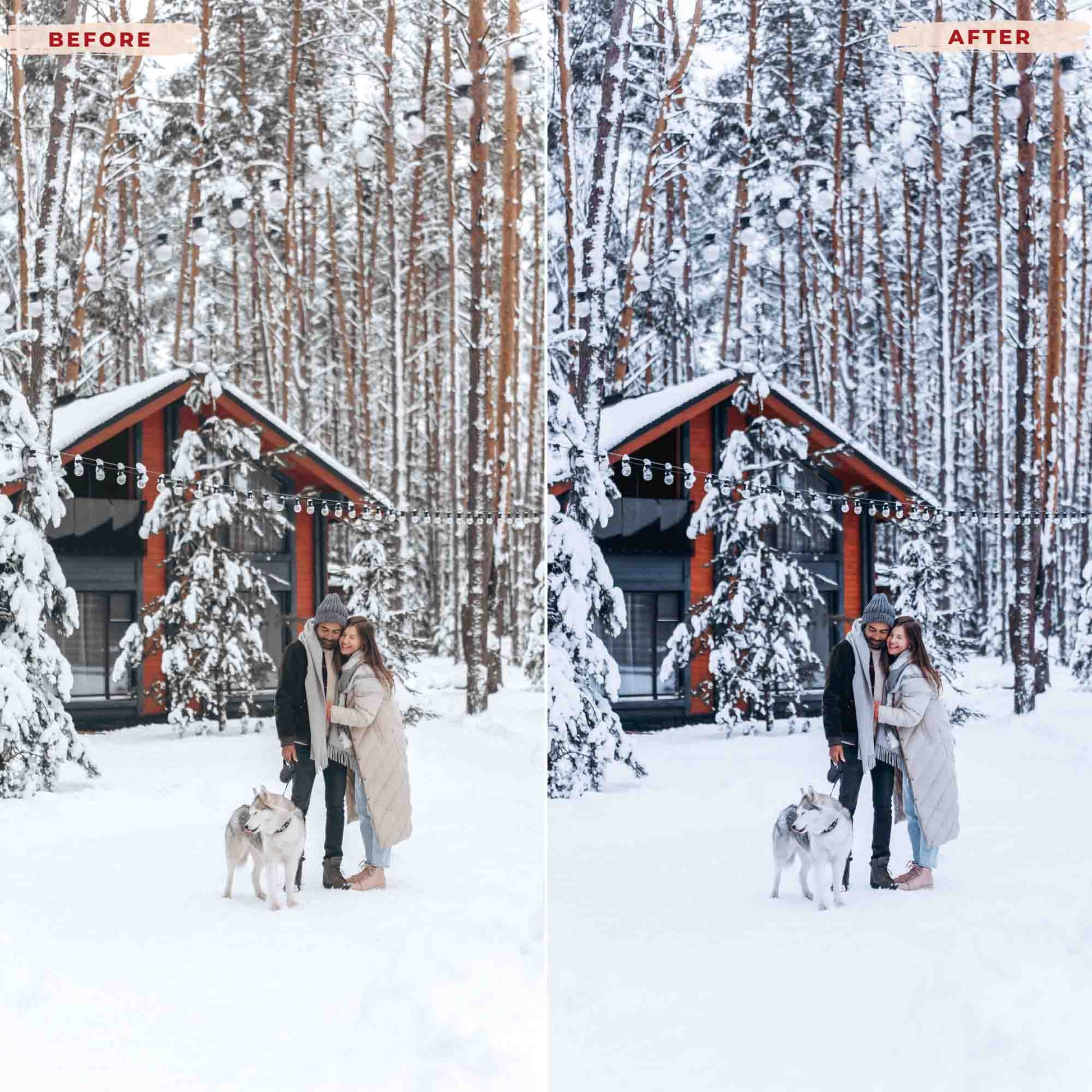 Ai-Optimized SNOW COLD LIGHTROOM PRESETS