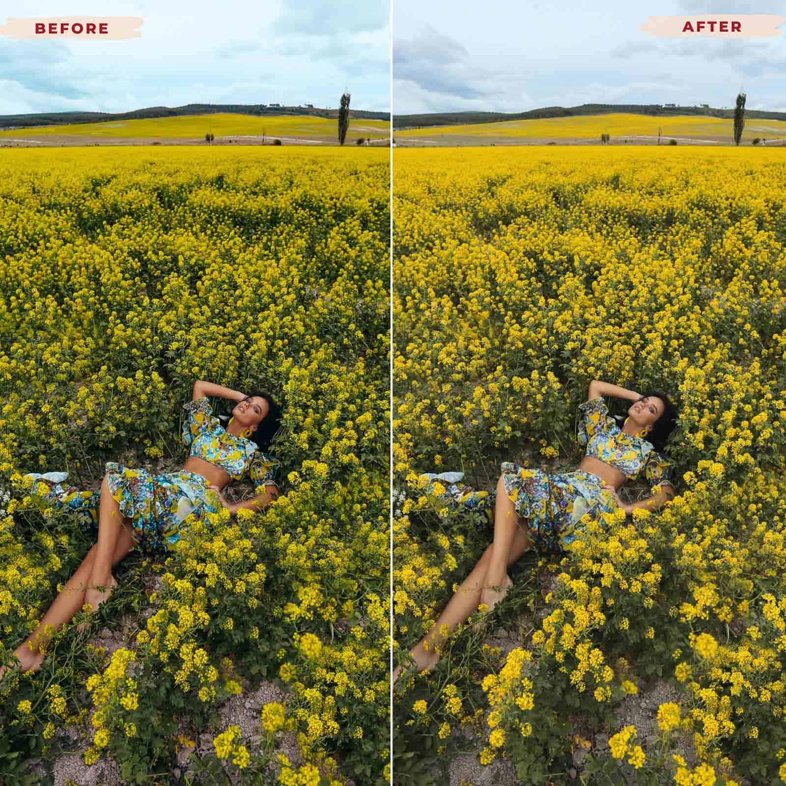 Ai-Optimized SPRING VIBES LIGHTROOM PRESETS