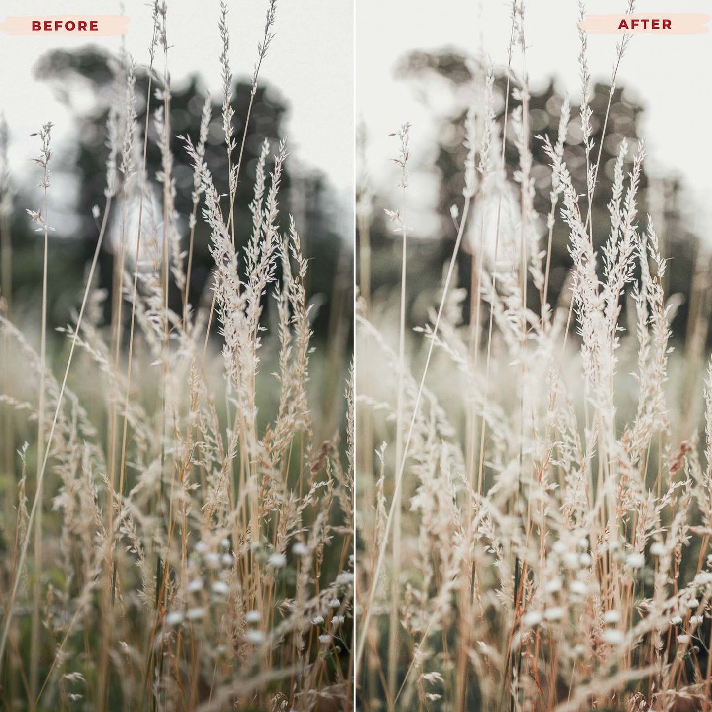 Ai-Optimized SUMMER BREEZE AI-OPTIMIZED LIGHTROOM PRESETS