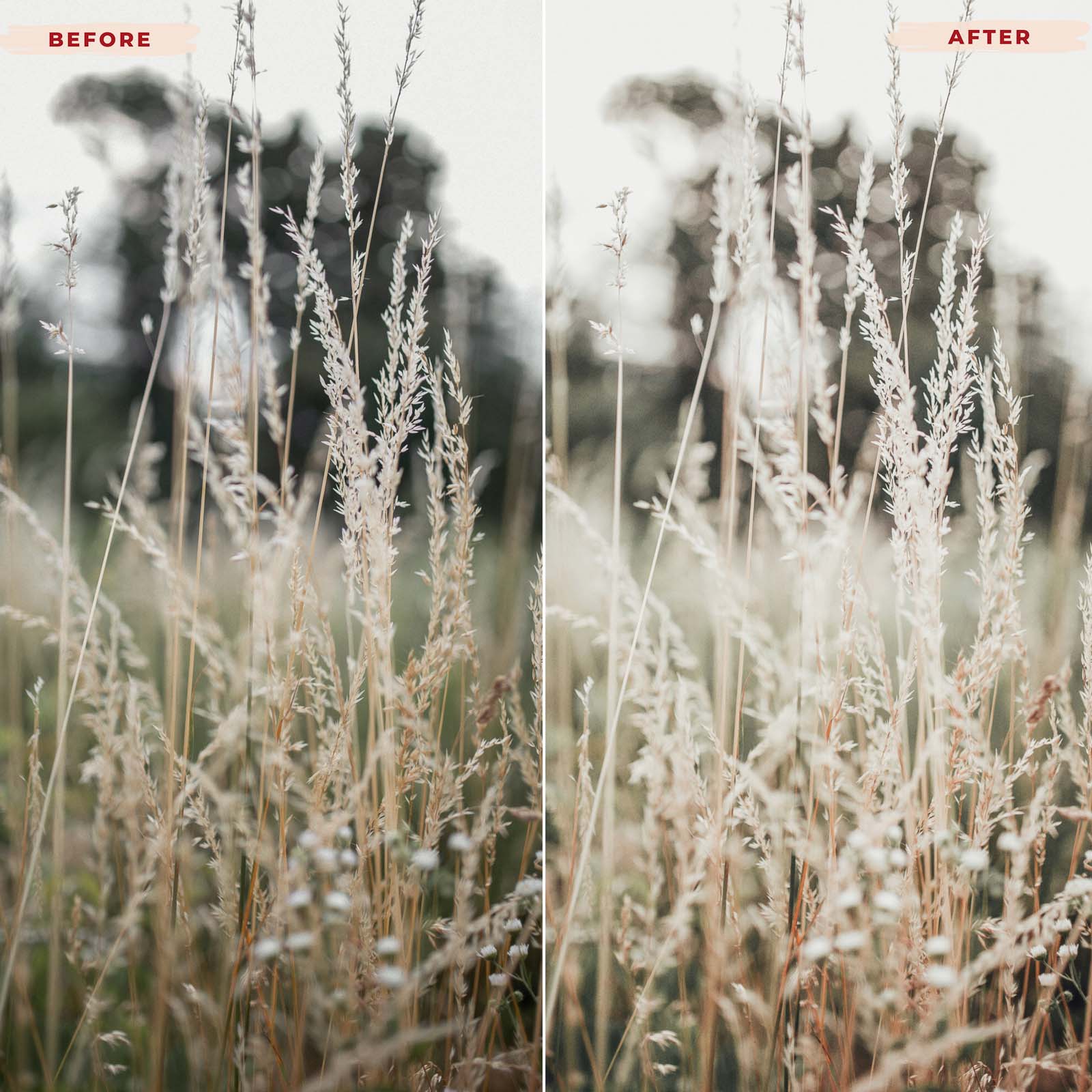 Ai-Optimized SUMMER BREEZE AI-OPTIMIZED LIGHTROOM PRESETS