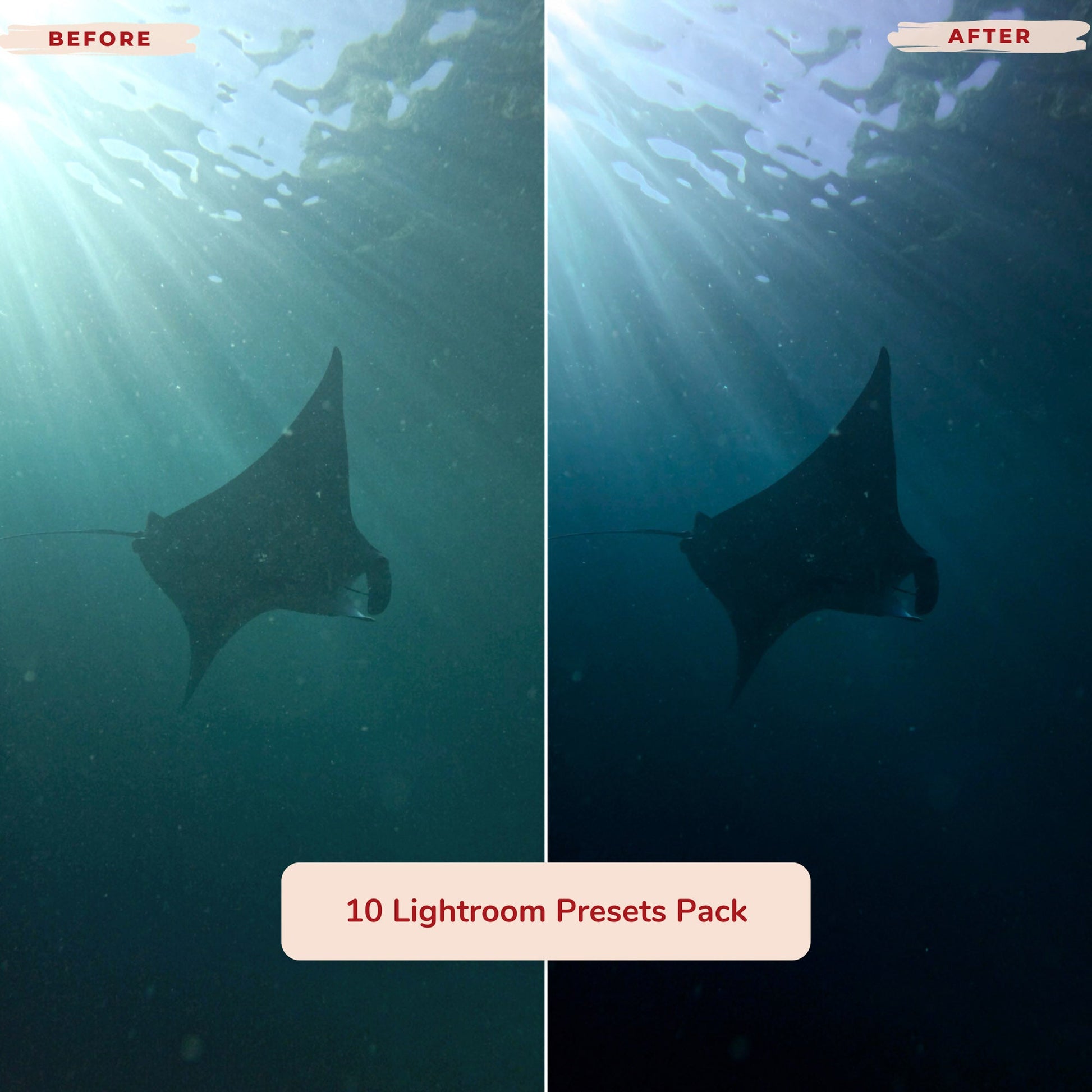 Ai-Optimized UNDERWATER LIGHTROOM PRESETS