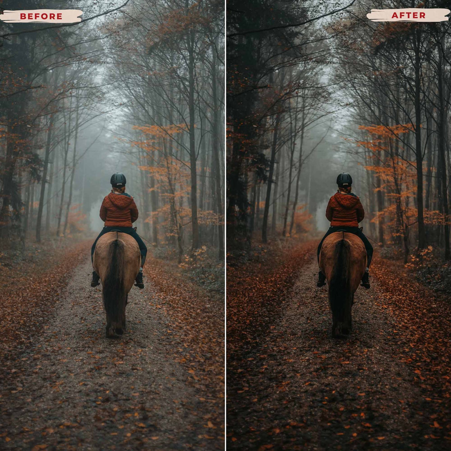 Ai-Optimized WANDERLUST LIGHTROOM PRESETS