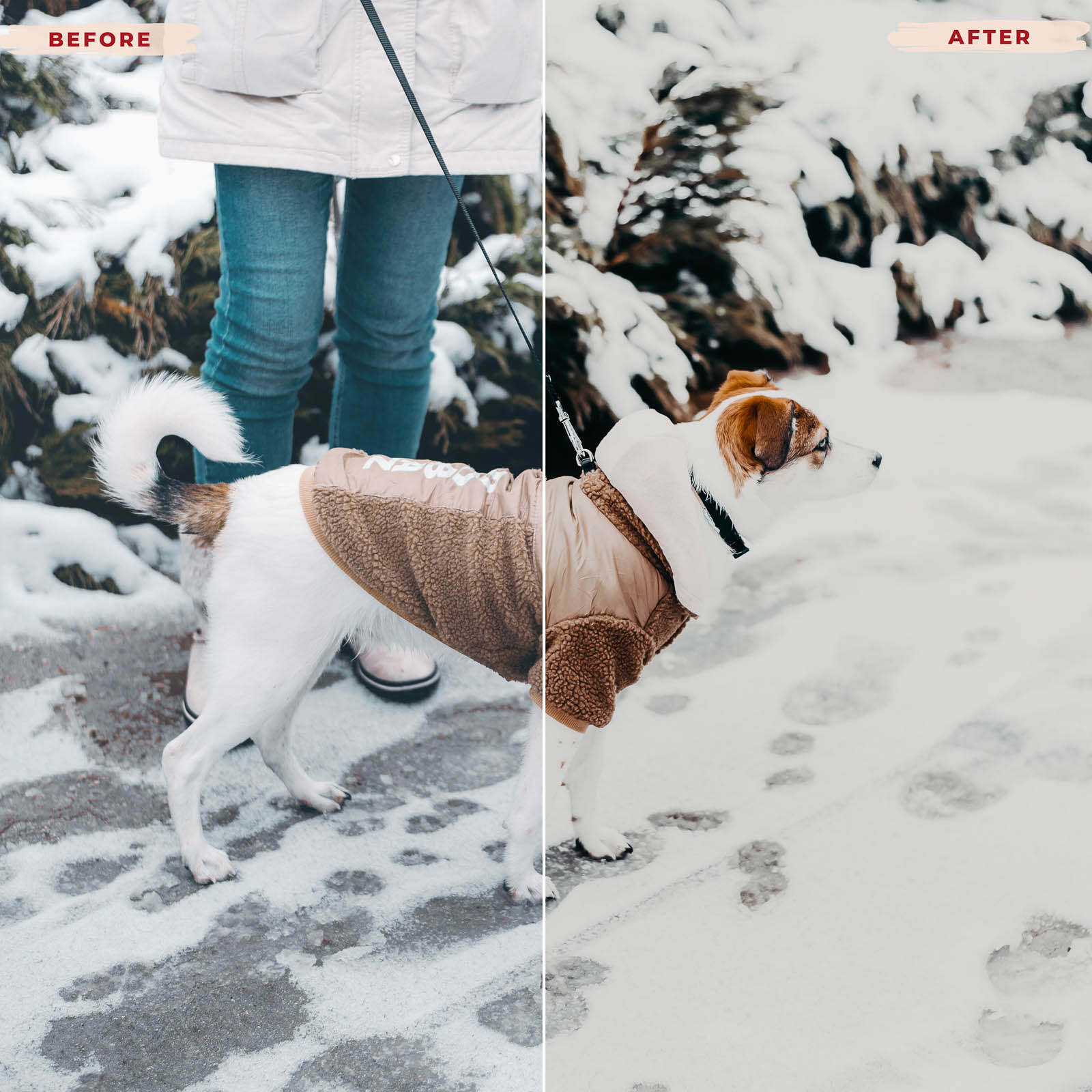 Ai-Optimized BRIGHT WINTER LIGHTROOM PRESETS