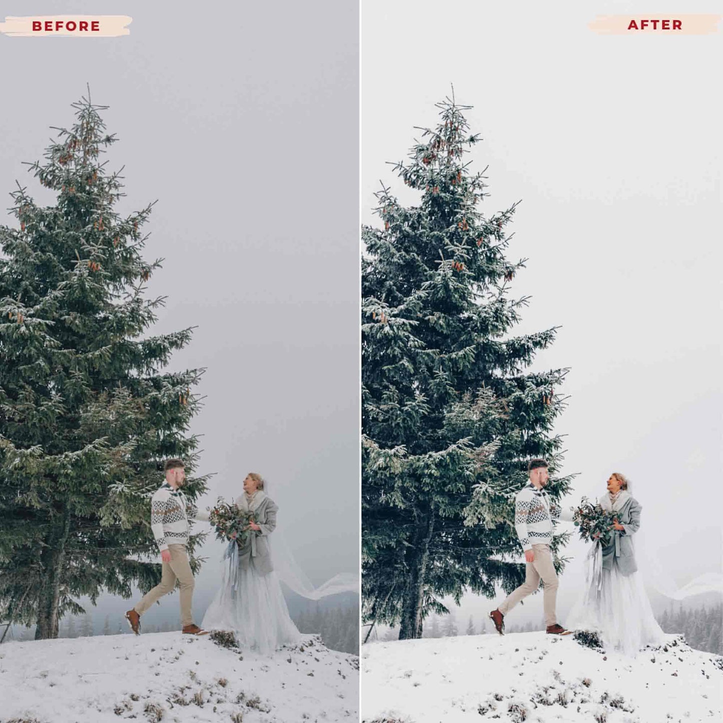 WINTER JOY LIGHTROOM PRESETS from 123presets