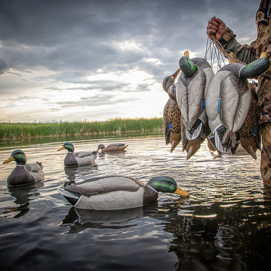 F1 Mallard Floaters