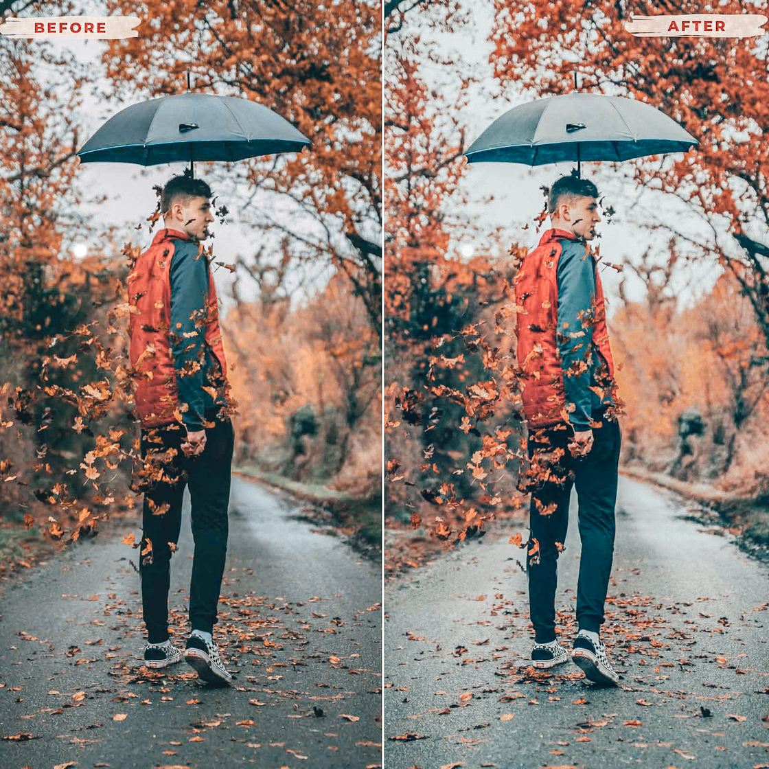 Ai-Optimized AUTUMN LEAVES VIDEO LUTS (MOBILE & DESKTOP)