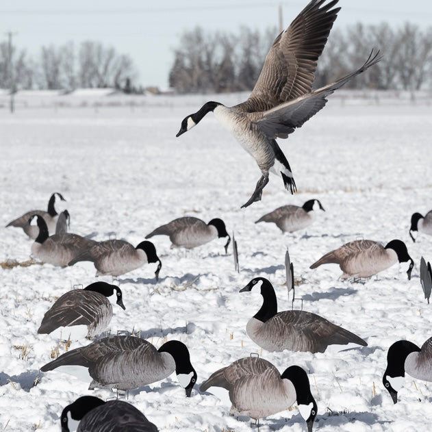 V2F (Flocked) Canada Silhouettes