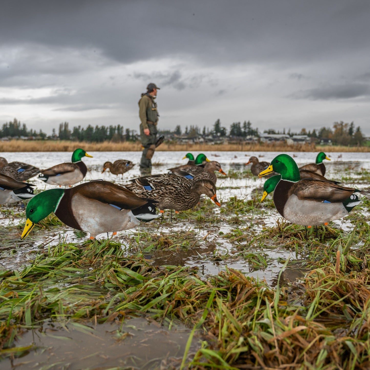 M1FF (Fully Flocked) Mallard Silhouettes