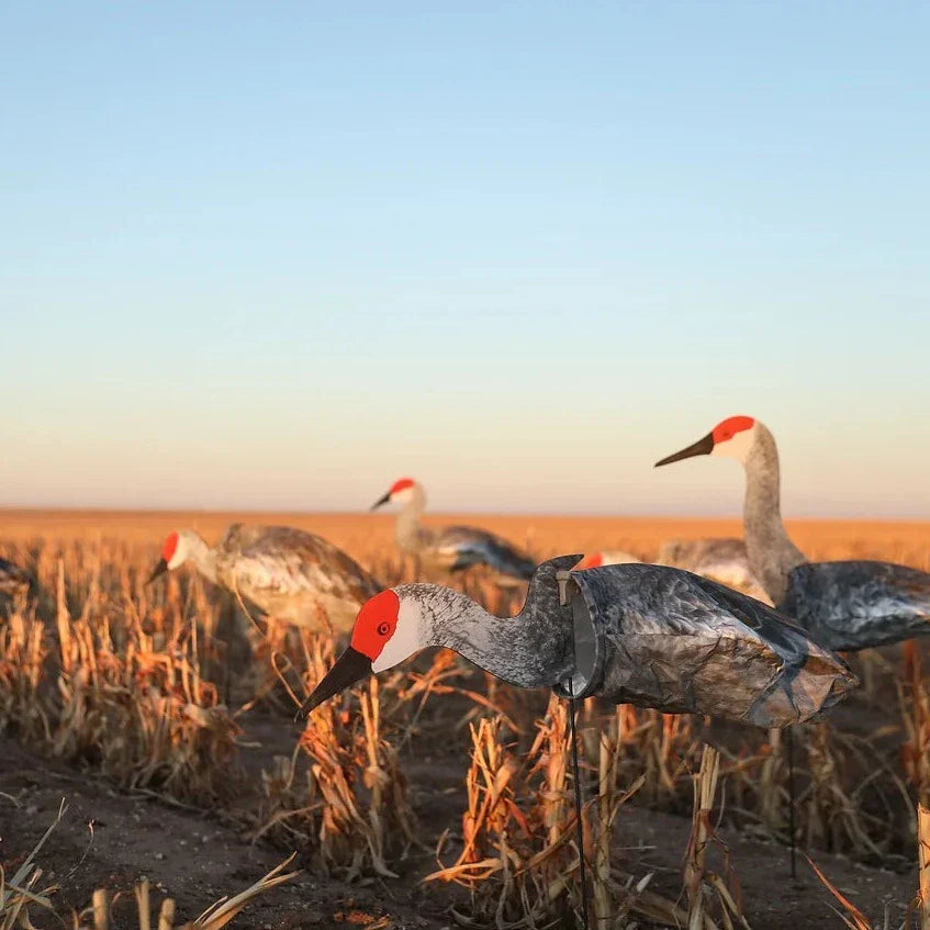 S3i Sandhill Crane Socks